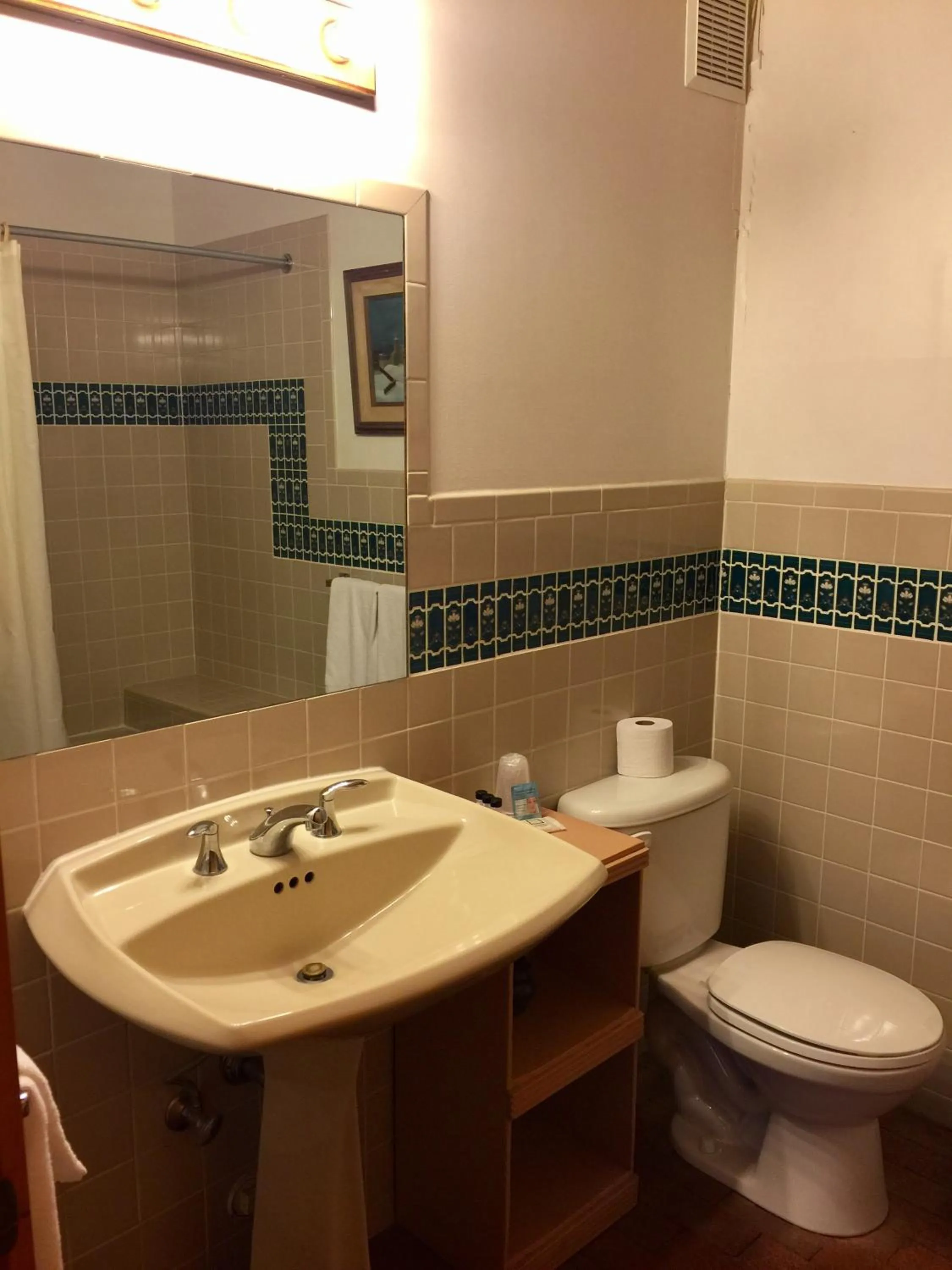 Toilet in Guadalupe Inn