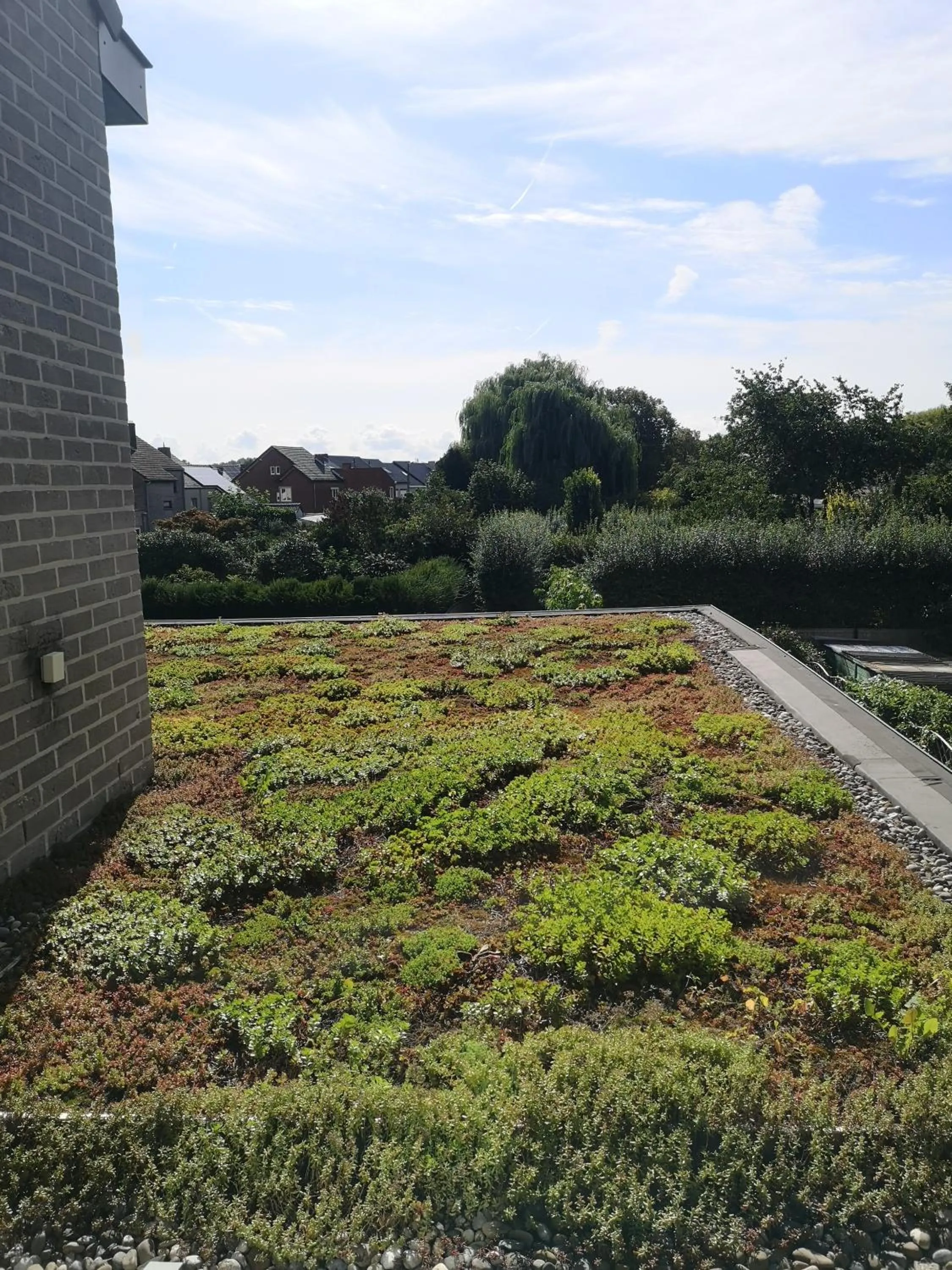 View (from property/room) in B&B Atuatuca