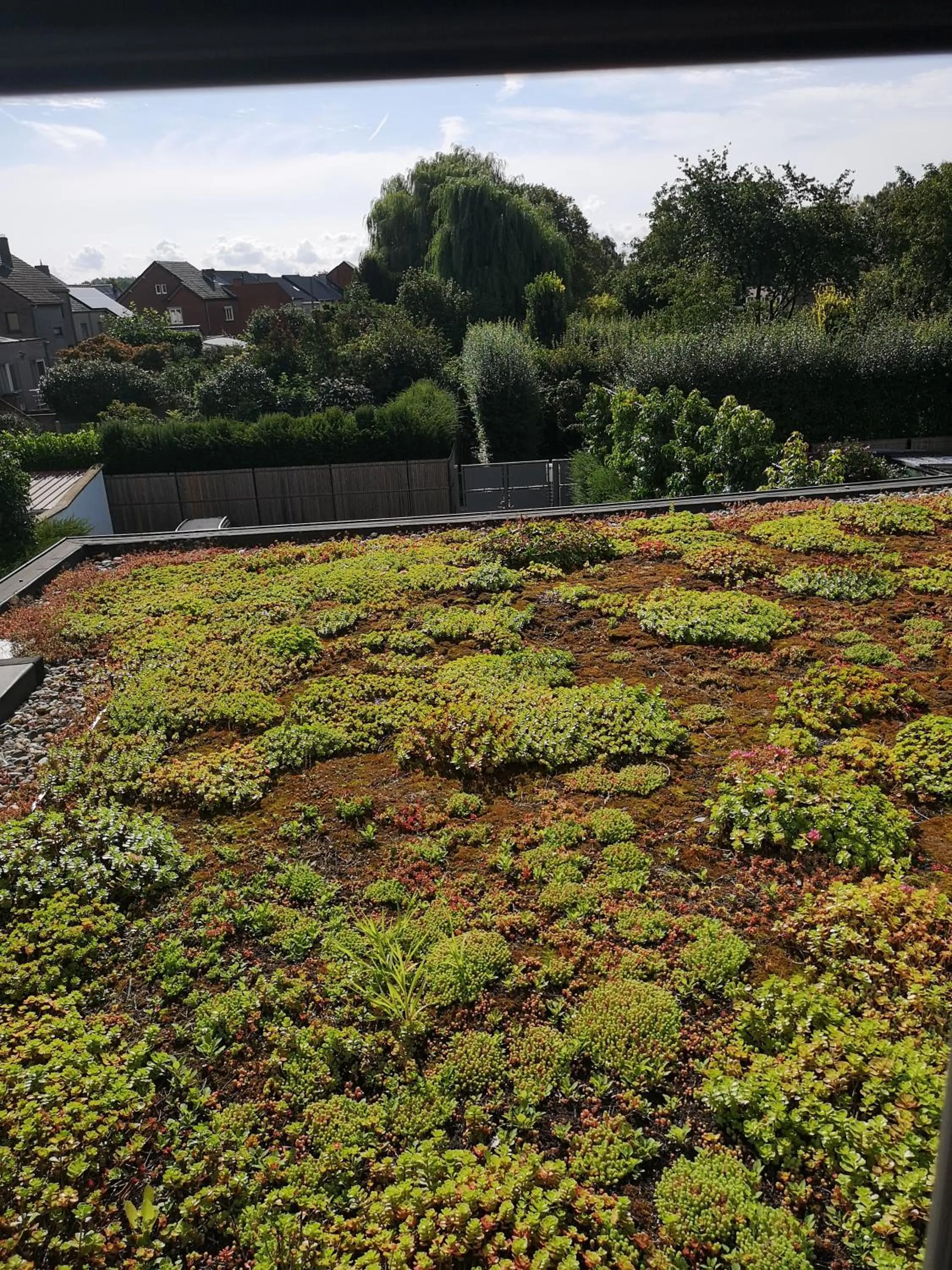 View (from property/room) in B&B Atuatuca