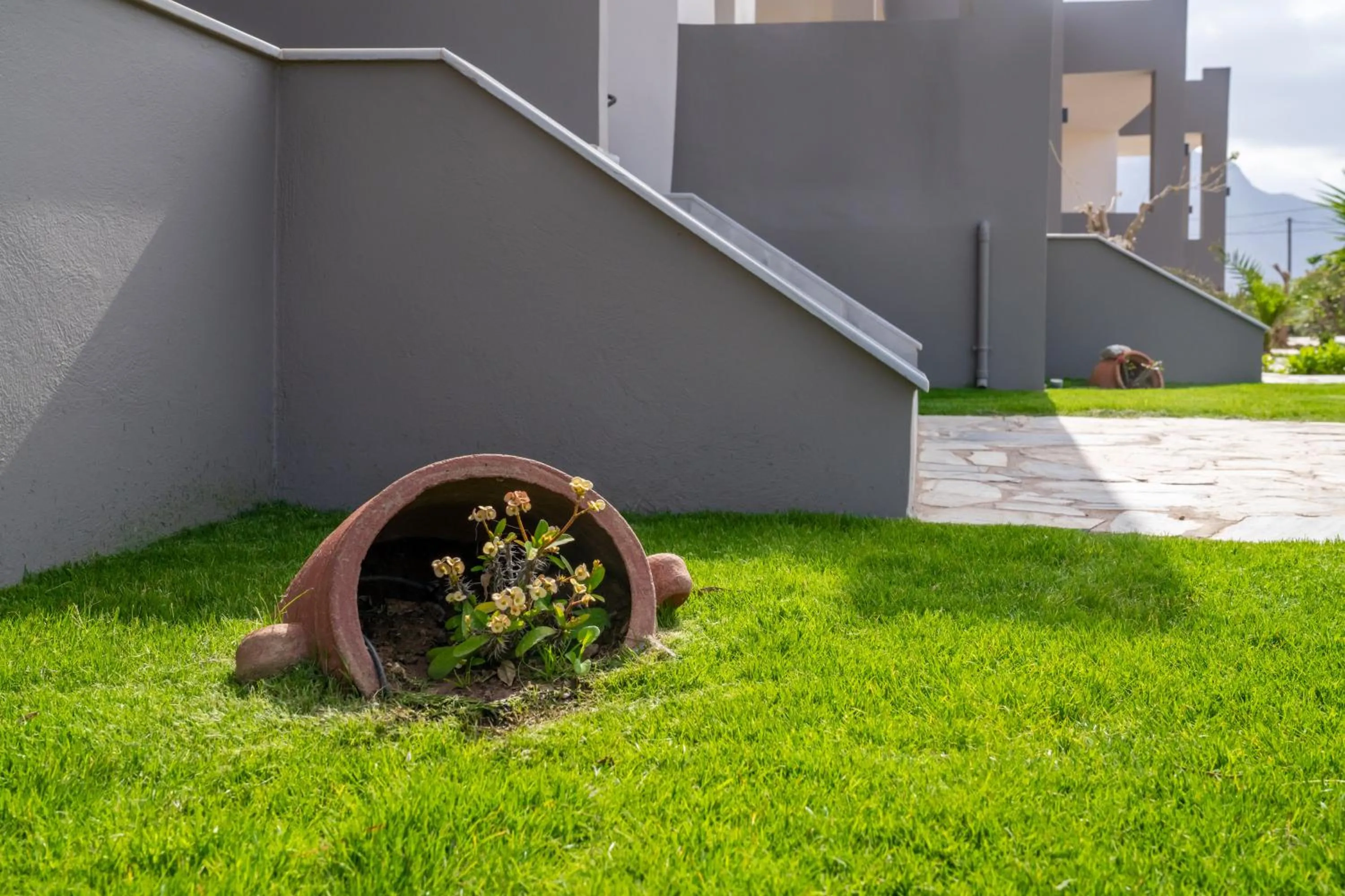 Property building in Lafo Rooms