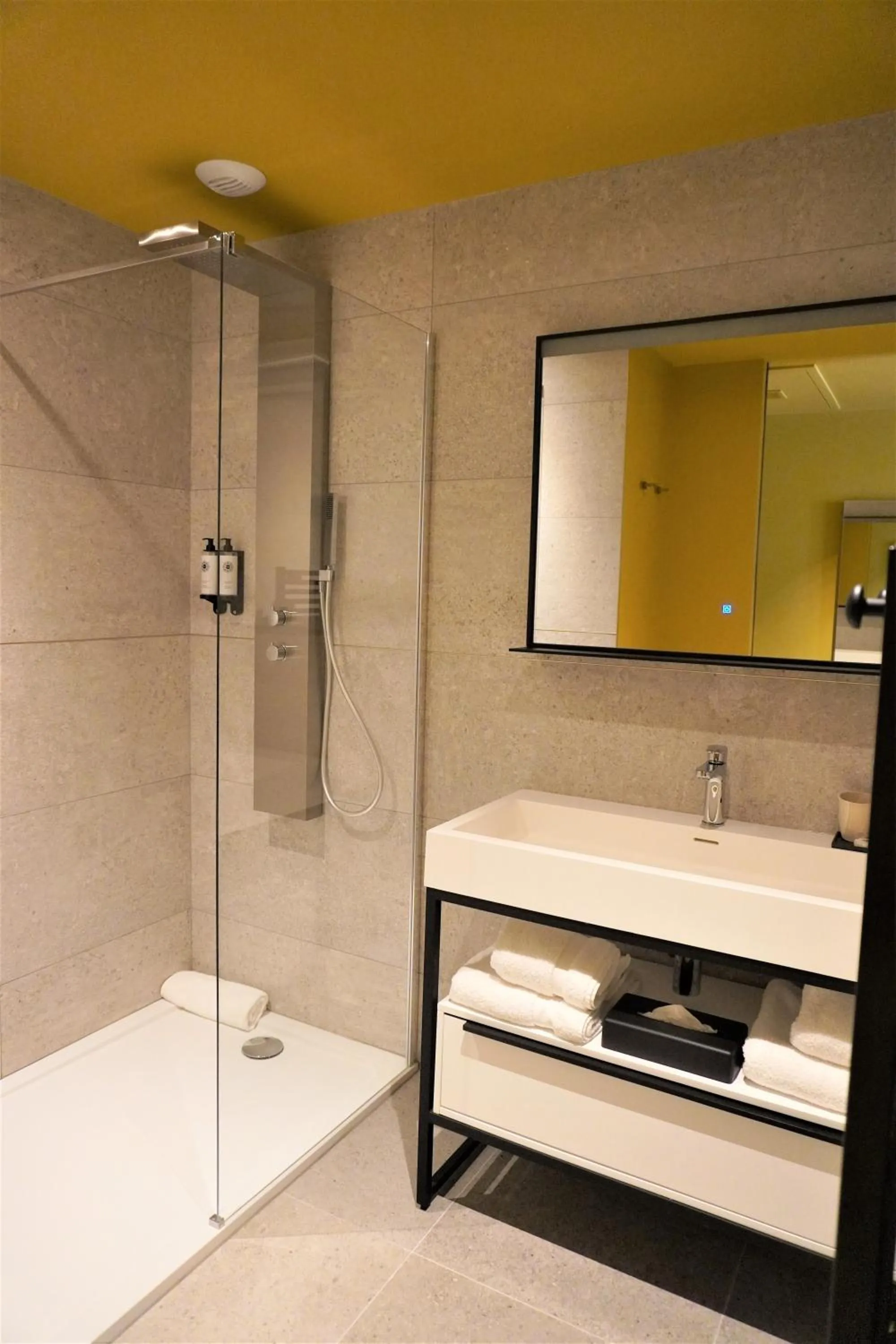 Shower in Hotel Leprince, Best Western Premier Collection
