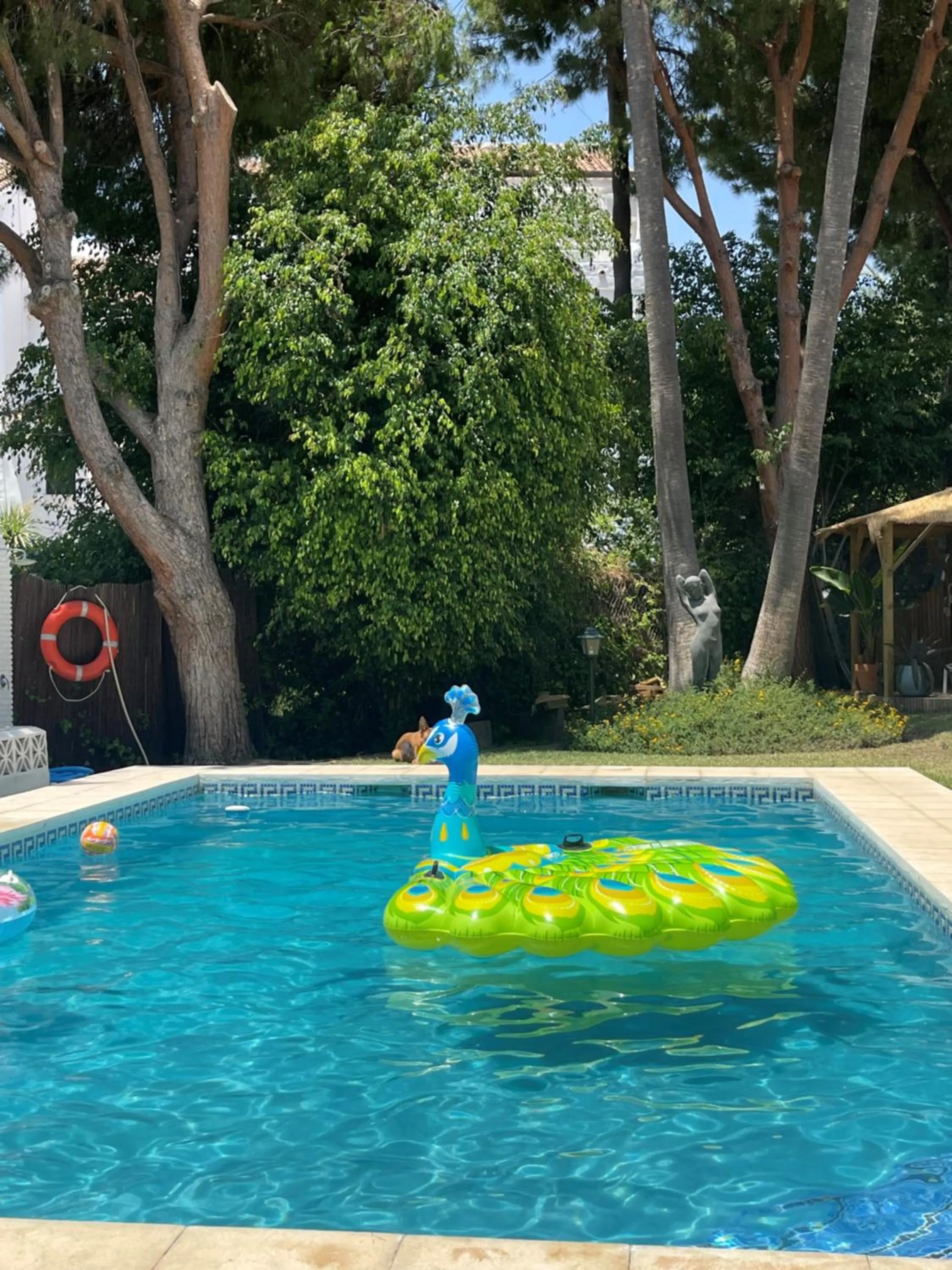 Swimming pool in Casa Flora - Mijas Costa - Andalusië