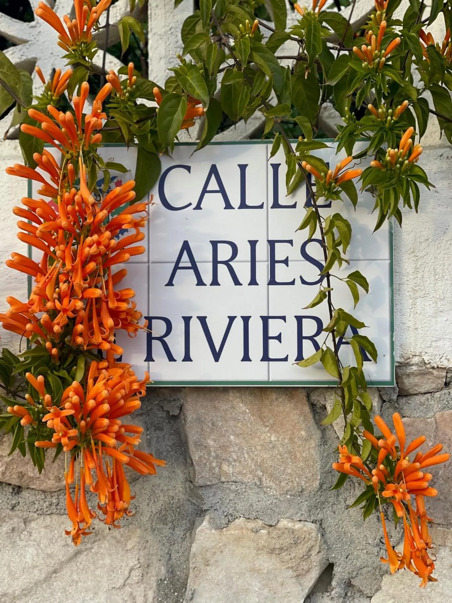 Street view in Casa Flora - Mijas Costa - Andalusië