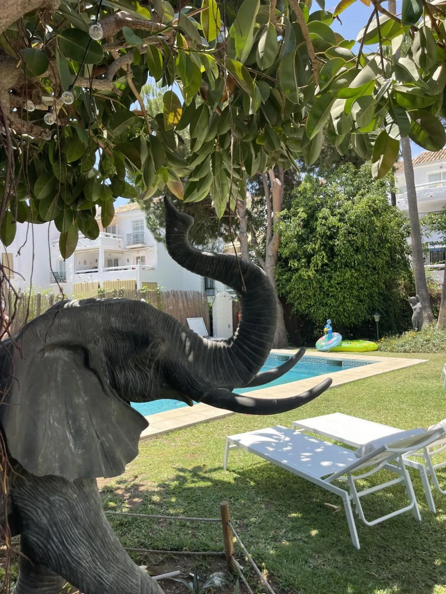 Garden in Casa Flora - Mijas Costa - Andalusië