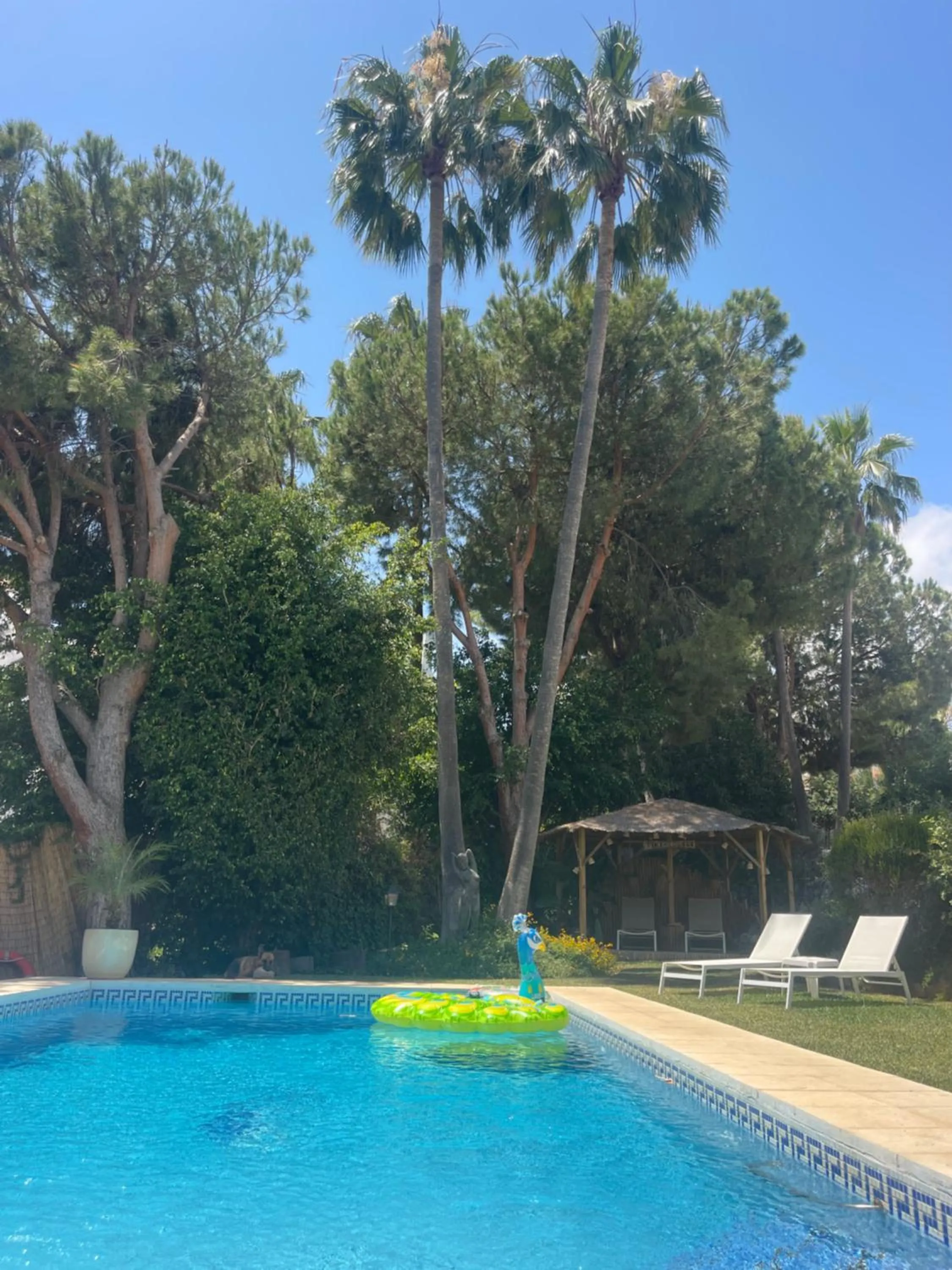 Swimming pool in Casa Flora - Mijas Costa - Andalusië