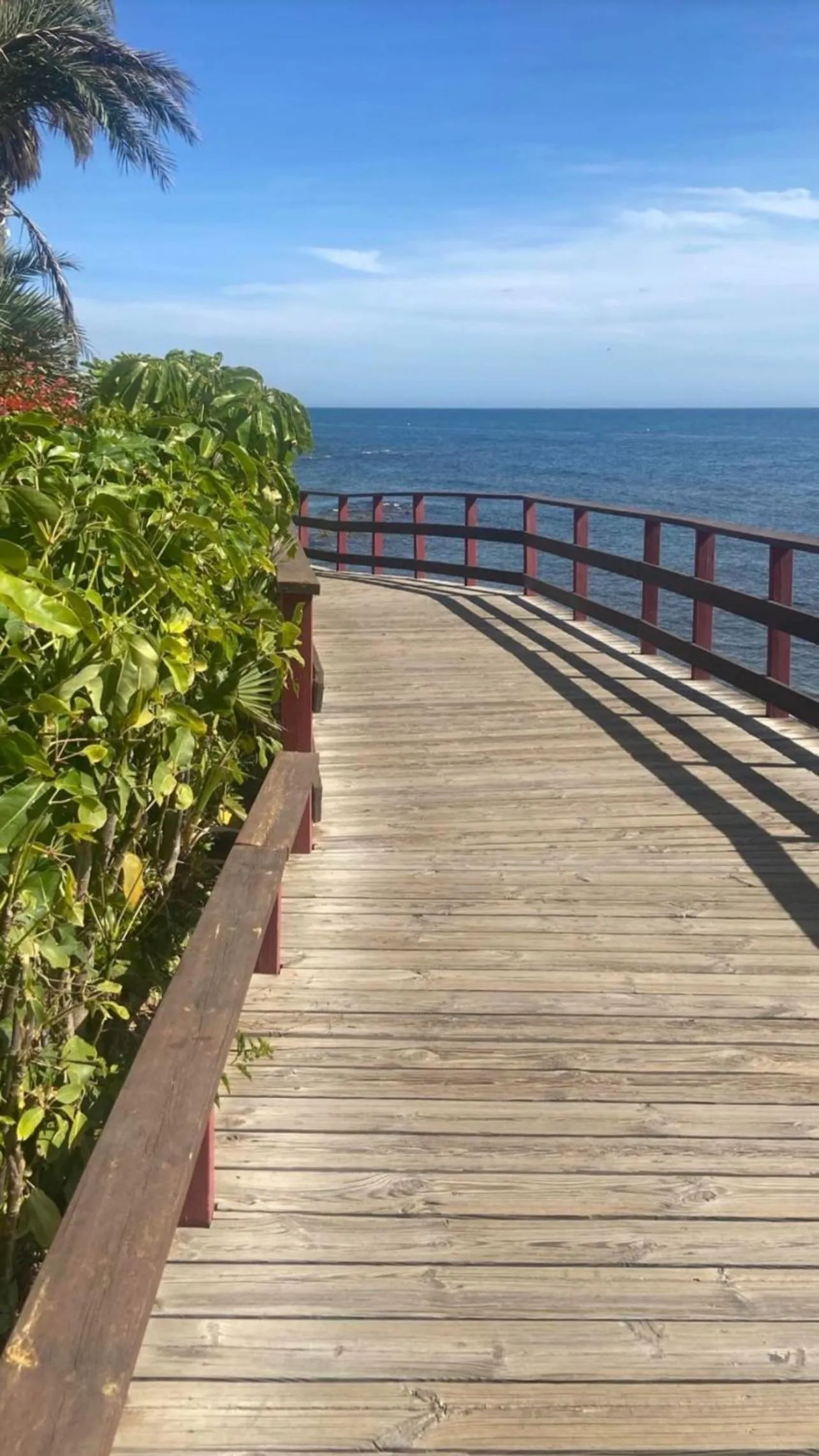 Area and facilities in Casa Flora - Mijas Costa - Andalusië