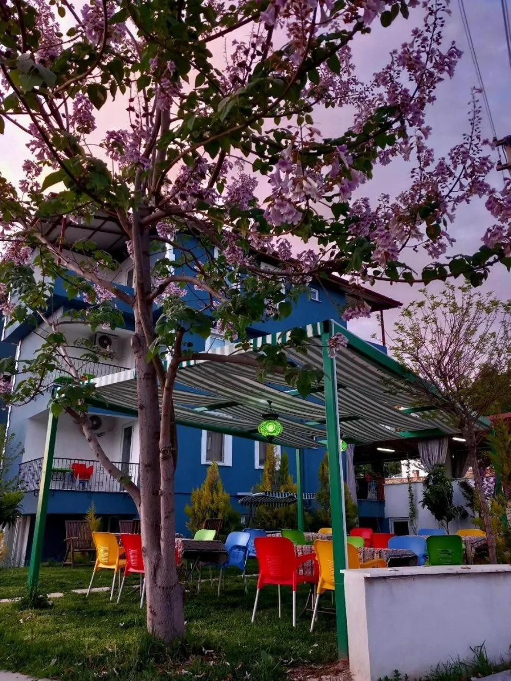 Property building in Paradise House