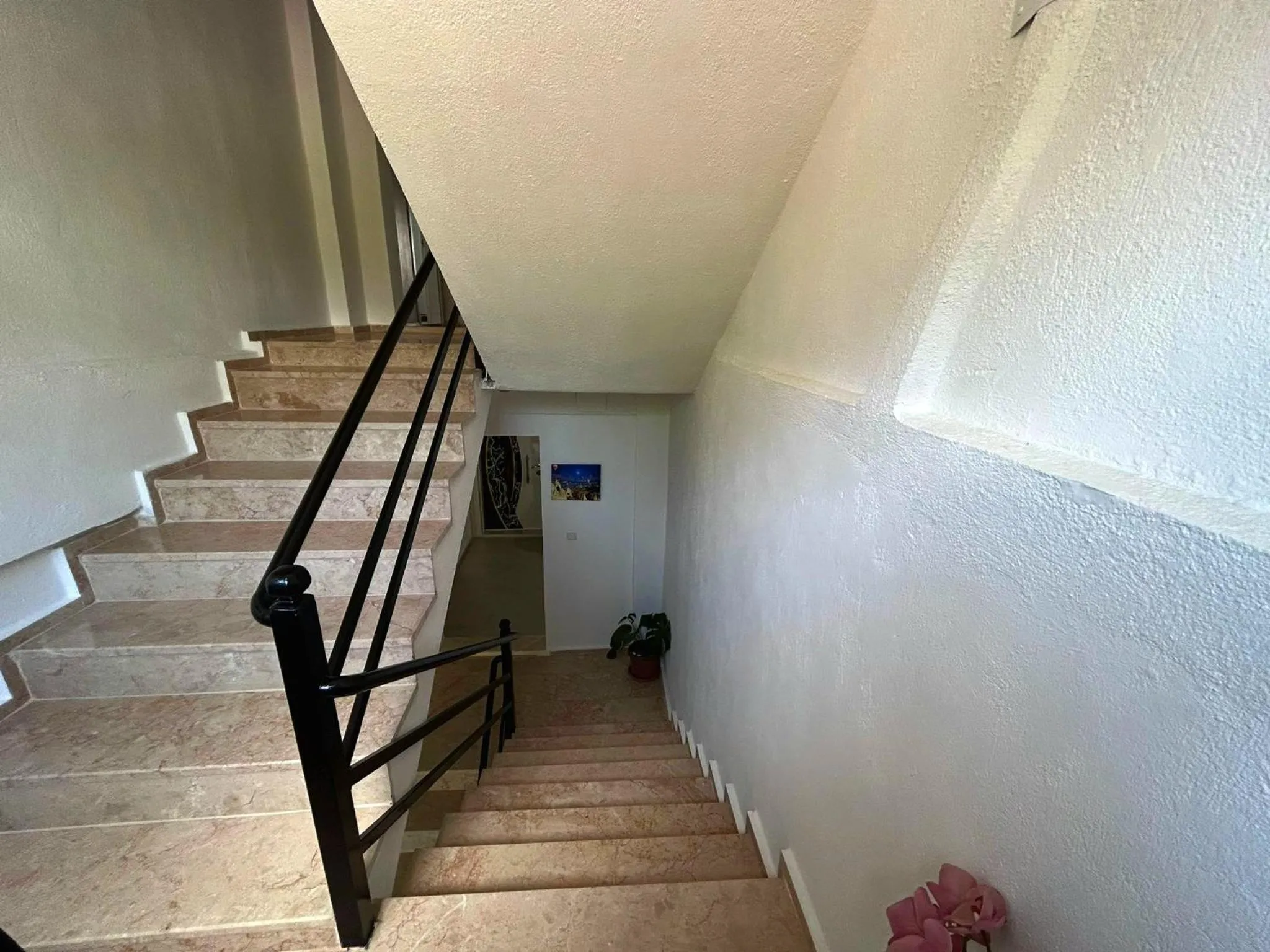 Property building in Paradise House