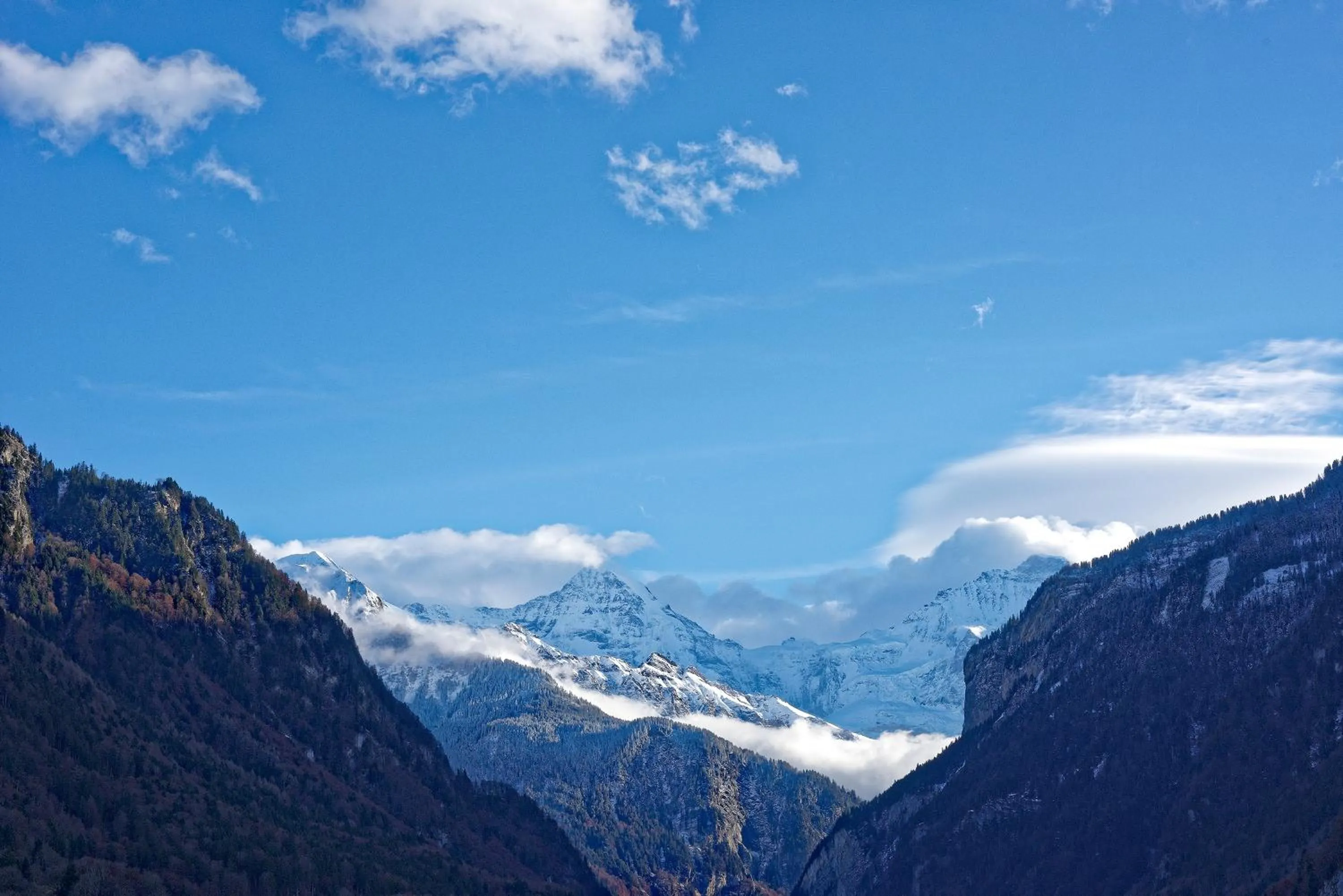 Neighbourhood in Baeren Hotel, The Bear Inn