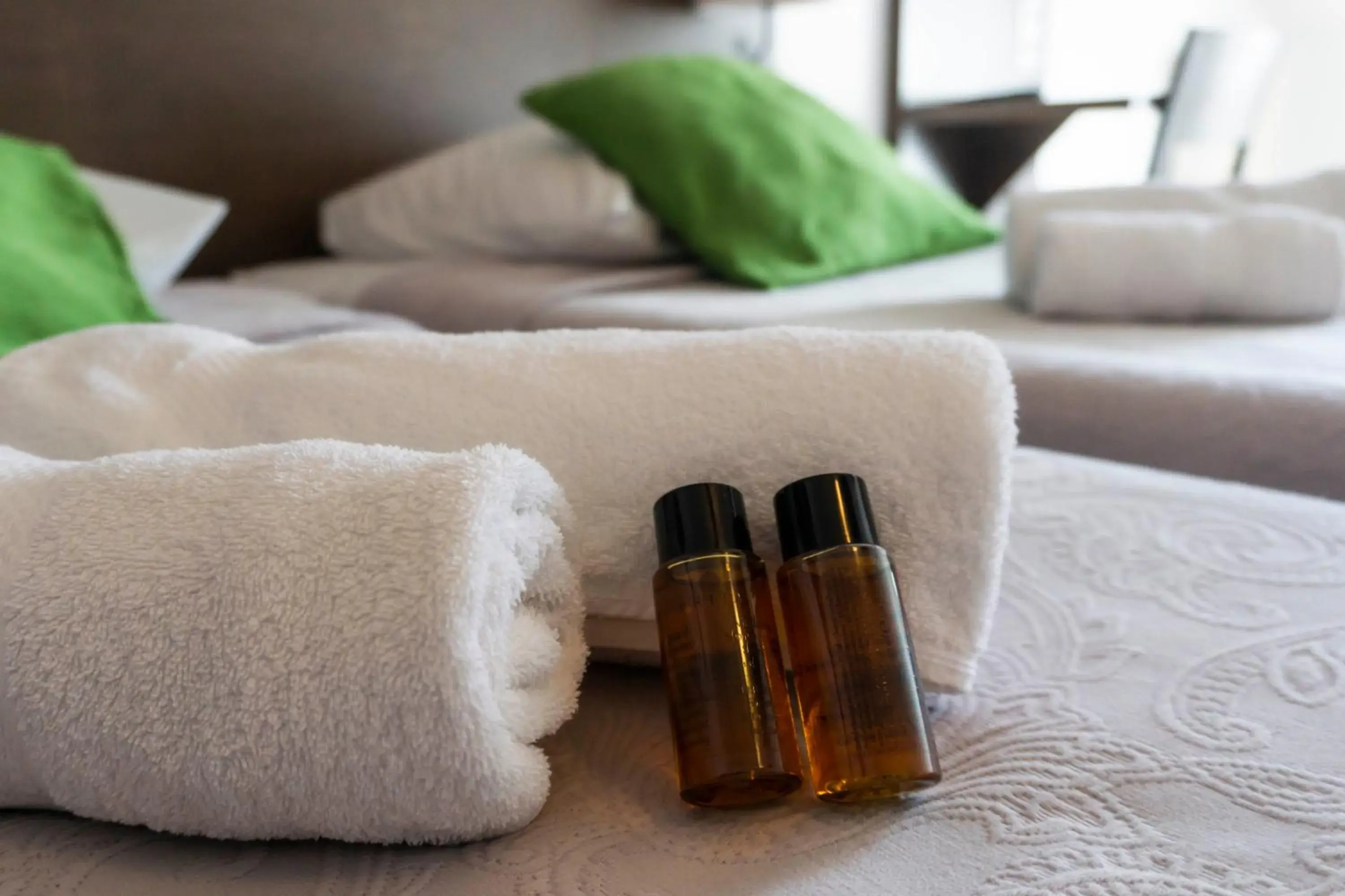 Twin Room with Mountain View in Hôtel d'Ossau Twin Room with Mountain View in Hôtel d'Ossau