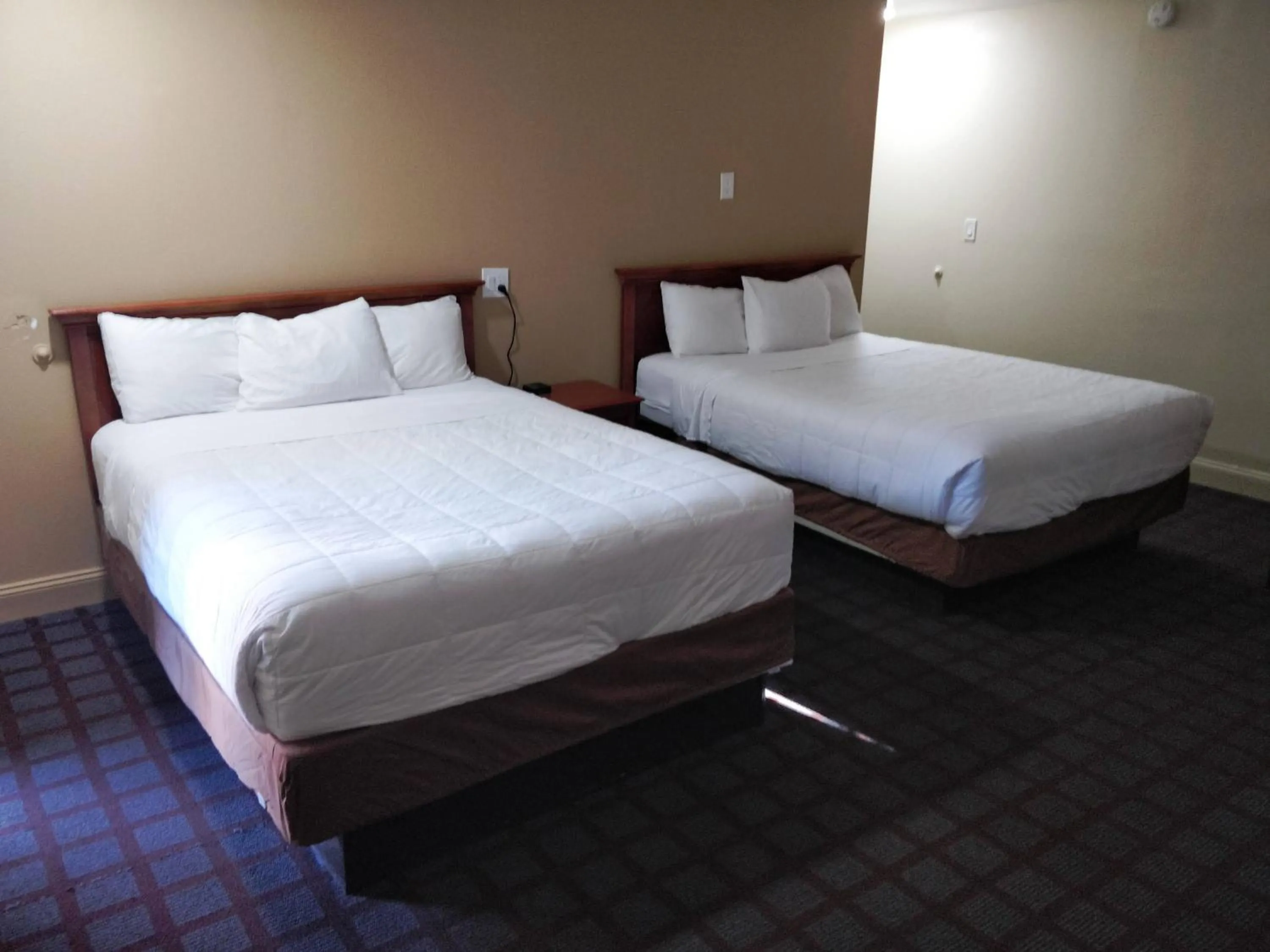 Bed in Ventura Grand Inn