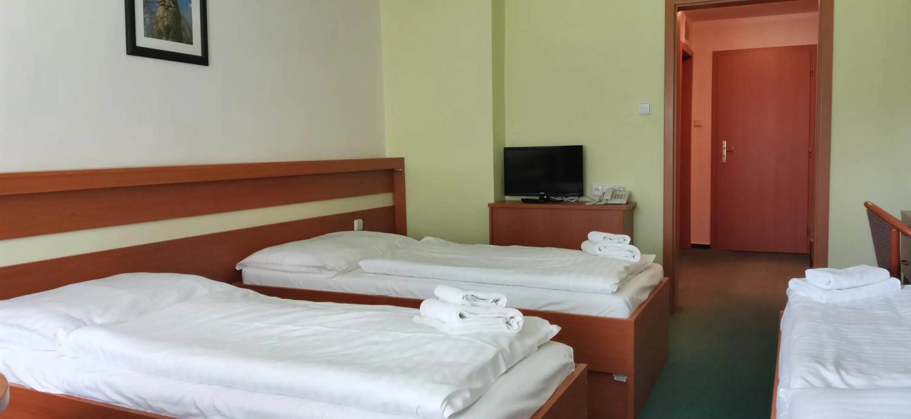 Bed in HOTEL SVRATKA