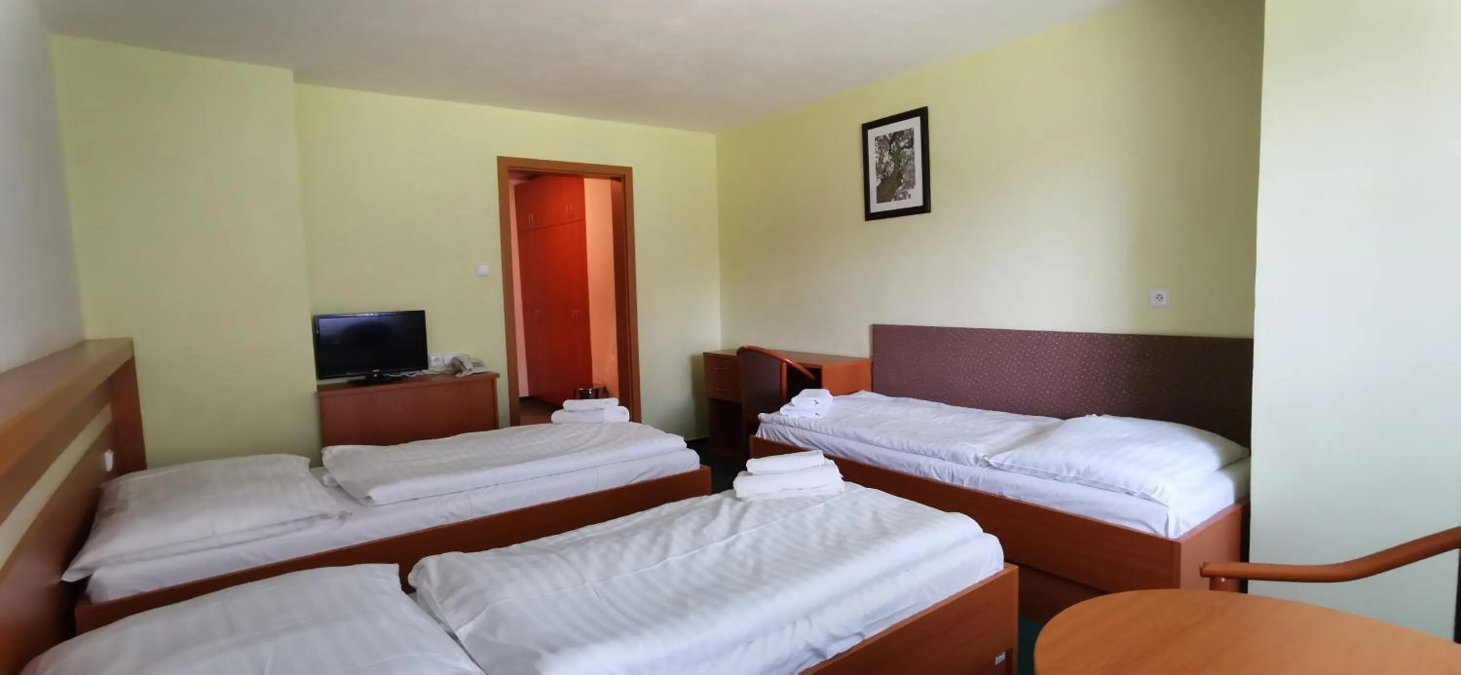 Bed in HOTEL SVRATKA