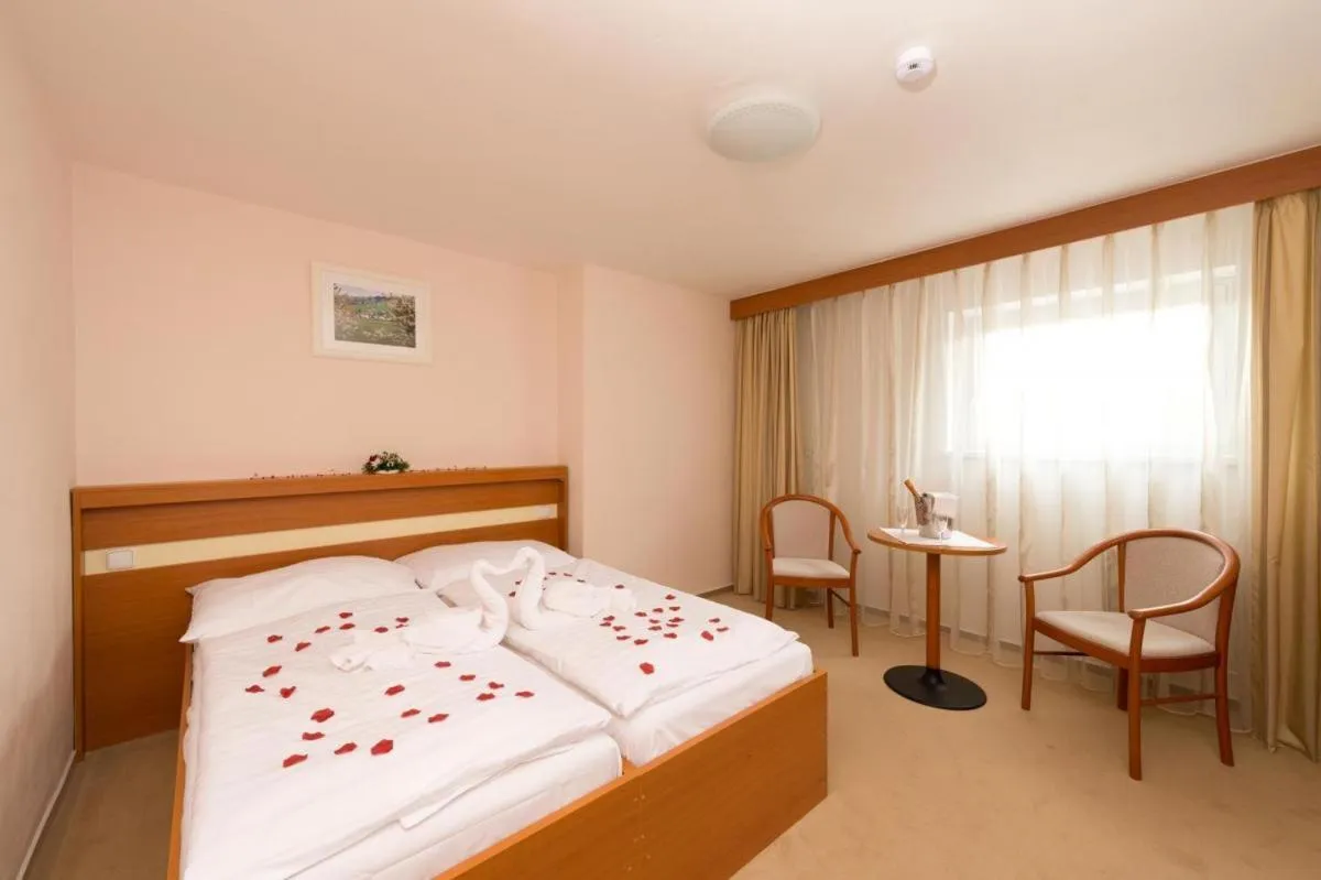 Bed in HOTEL SVRATKA