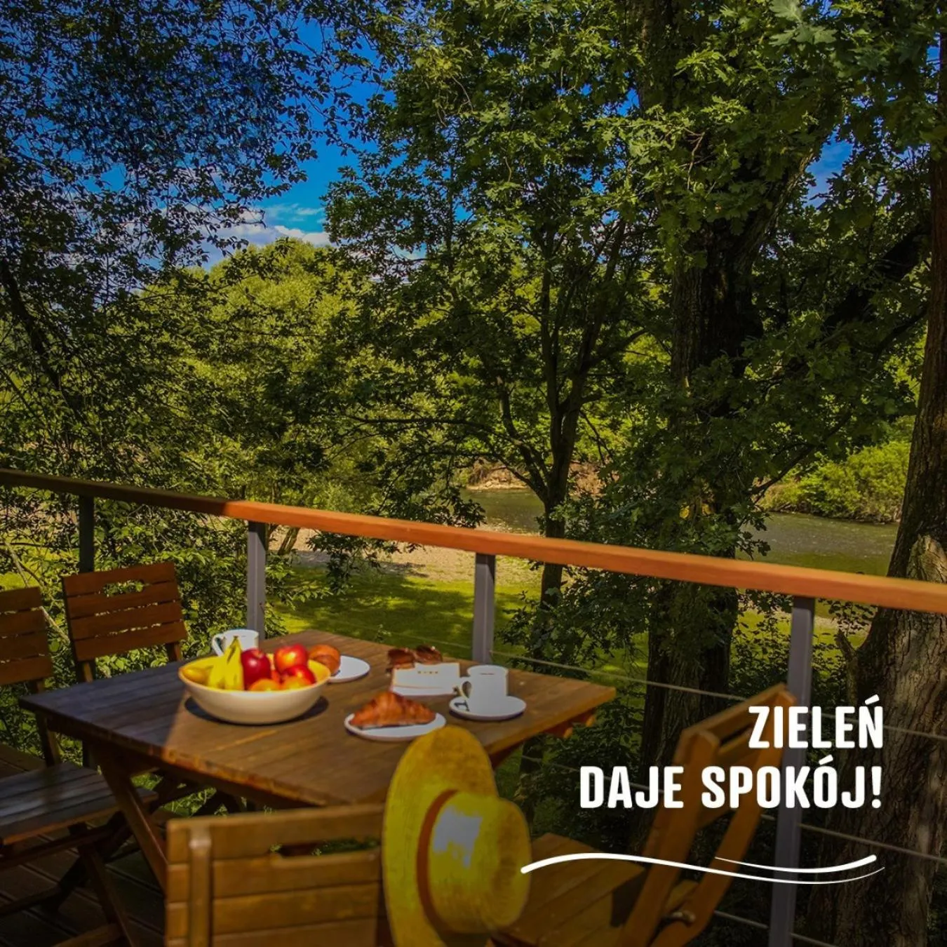 Day in Apartamenty wśród drzew River Park SAUNA