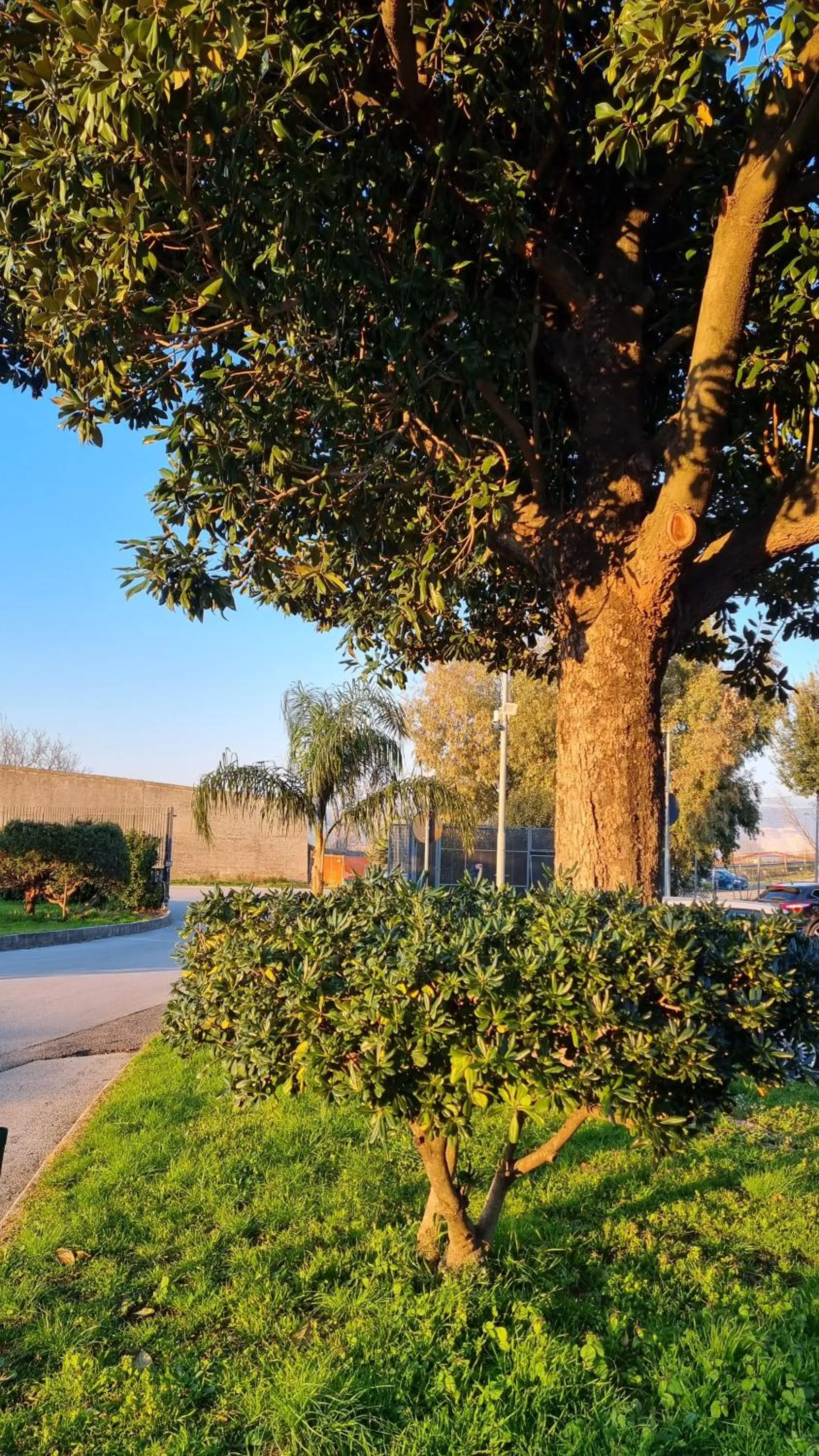 Garden in HOTEL QUADRIFOGLIO