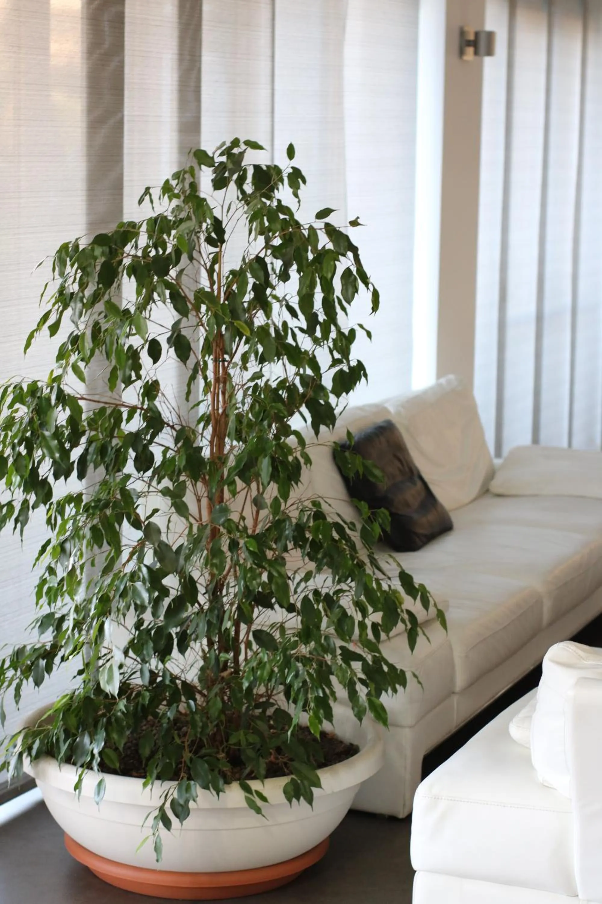 Area and facilities in HOTEL QUADRIFOGLIO