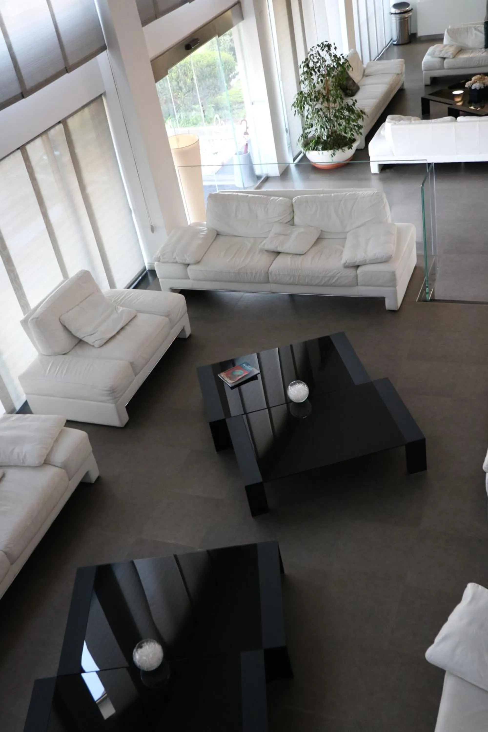 Area and facilities in HOTEL QUADRIFOGLIO