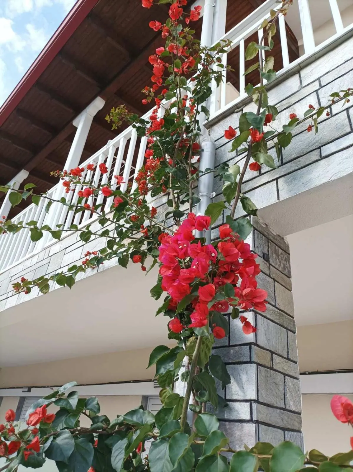 Bella Terra Nature Living