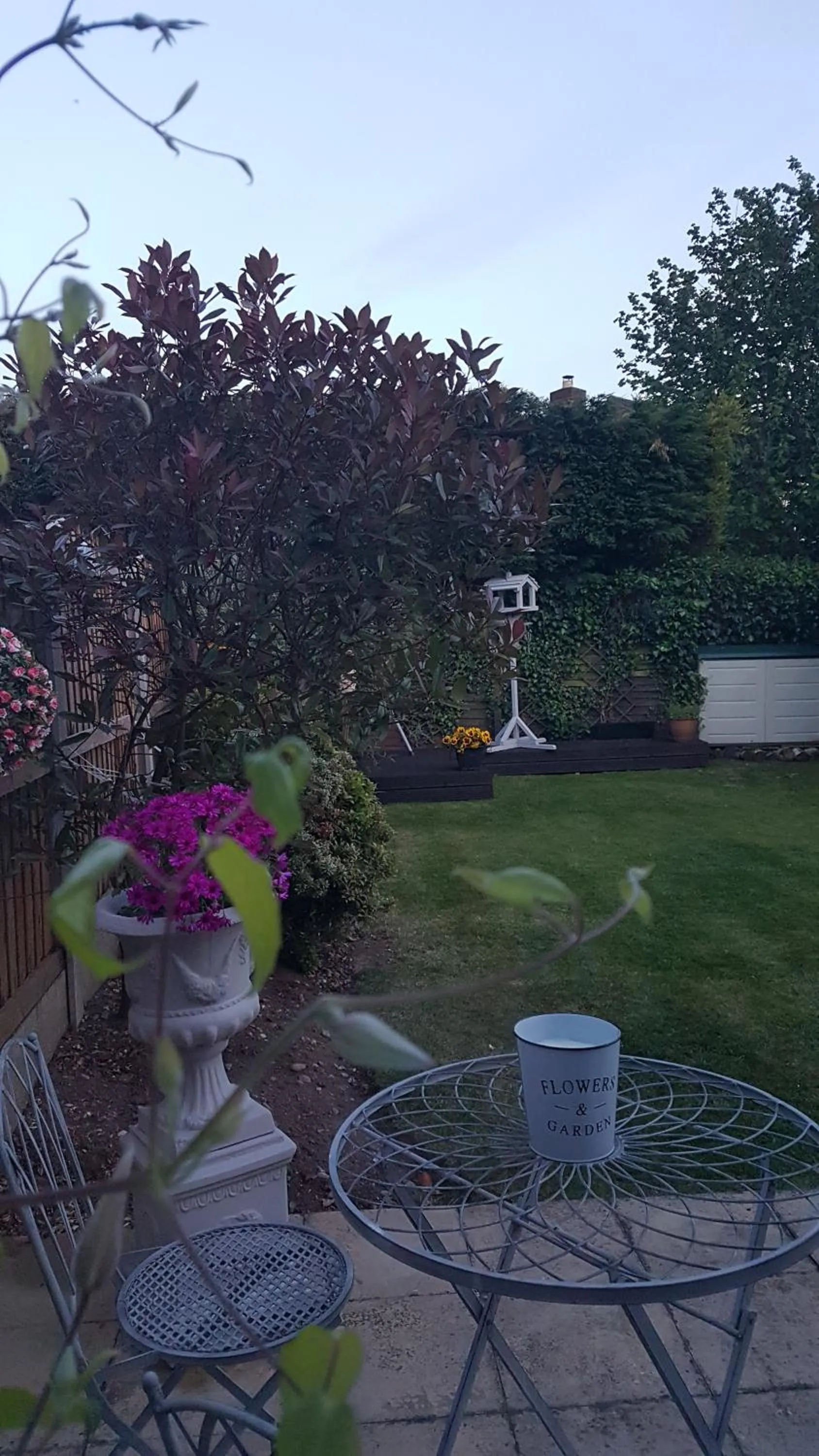 Patio in Debonair bnb @33