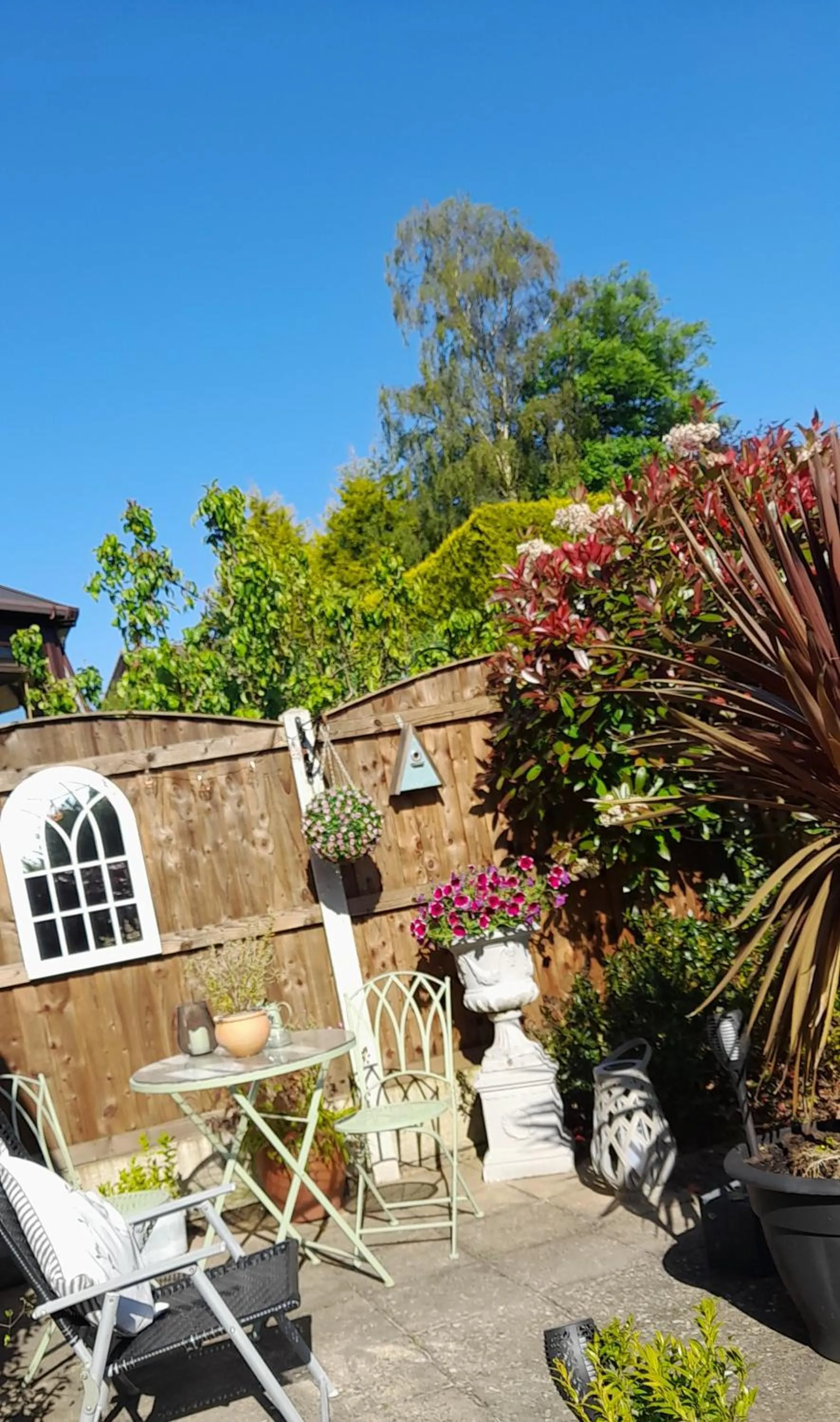 Patio in Debonair bnb @33