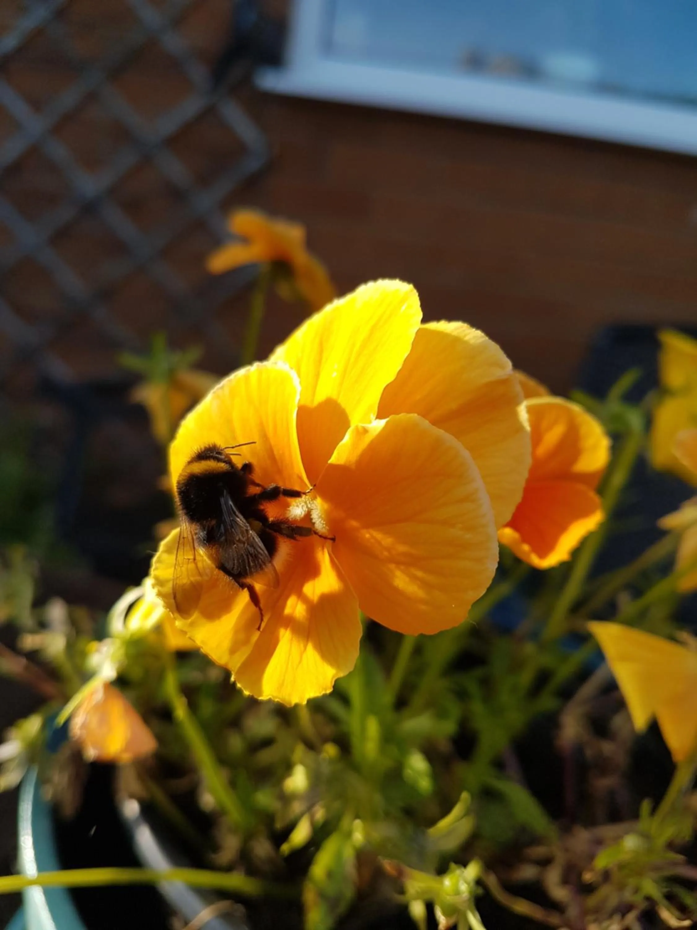 Property building in Debonair bnb @33