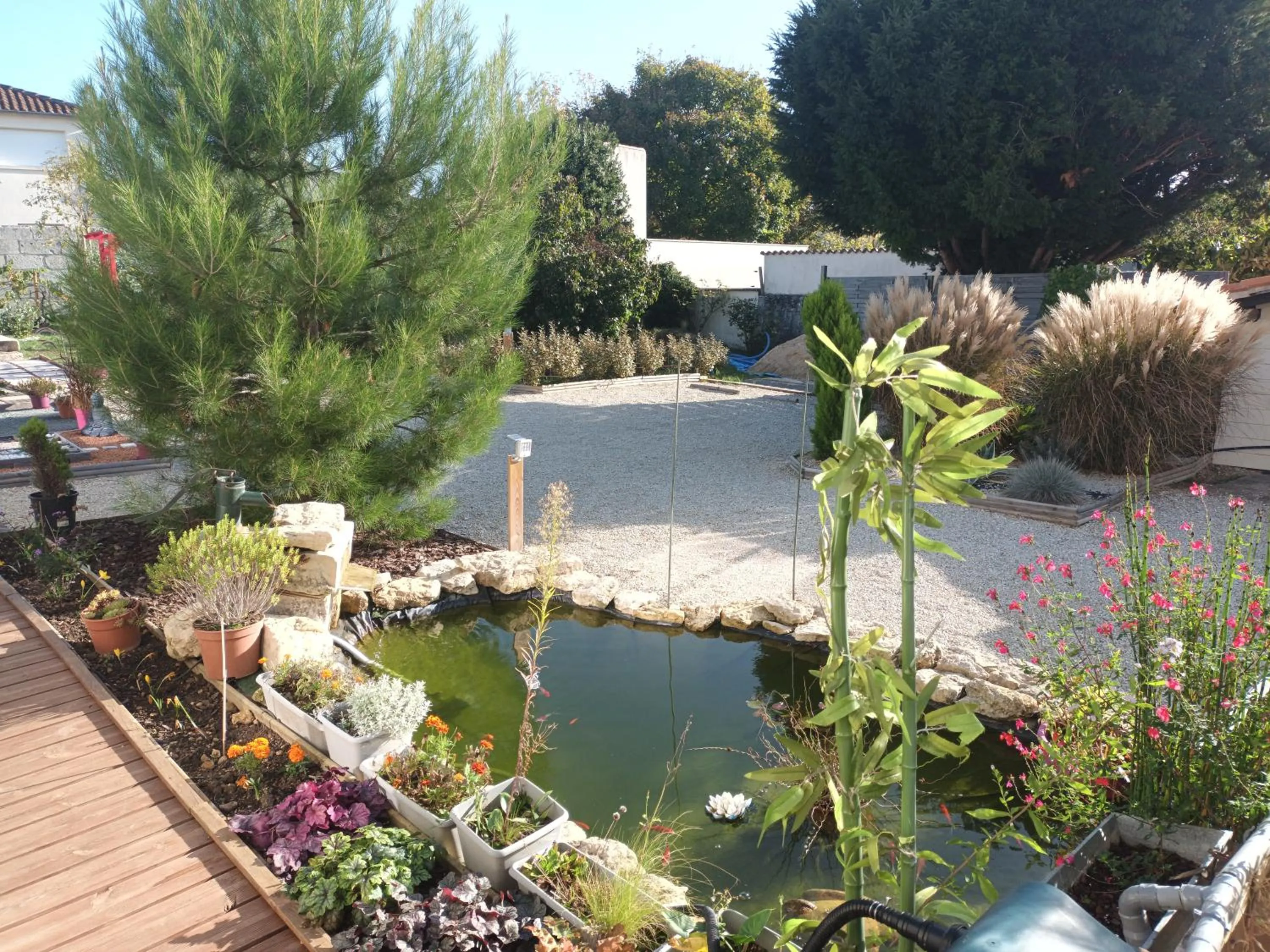 Garden in Le Clos des Passiflores