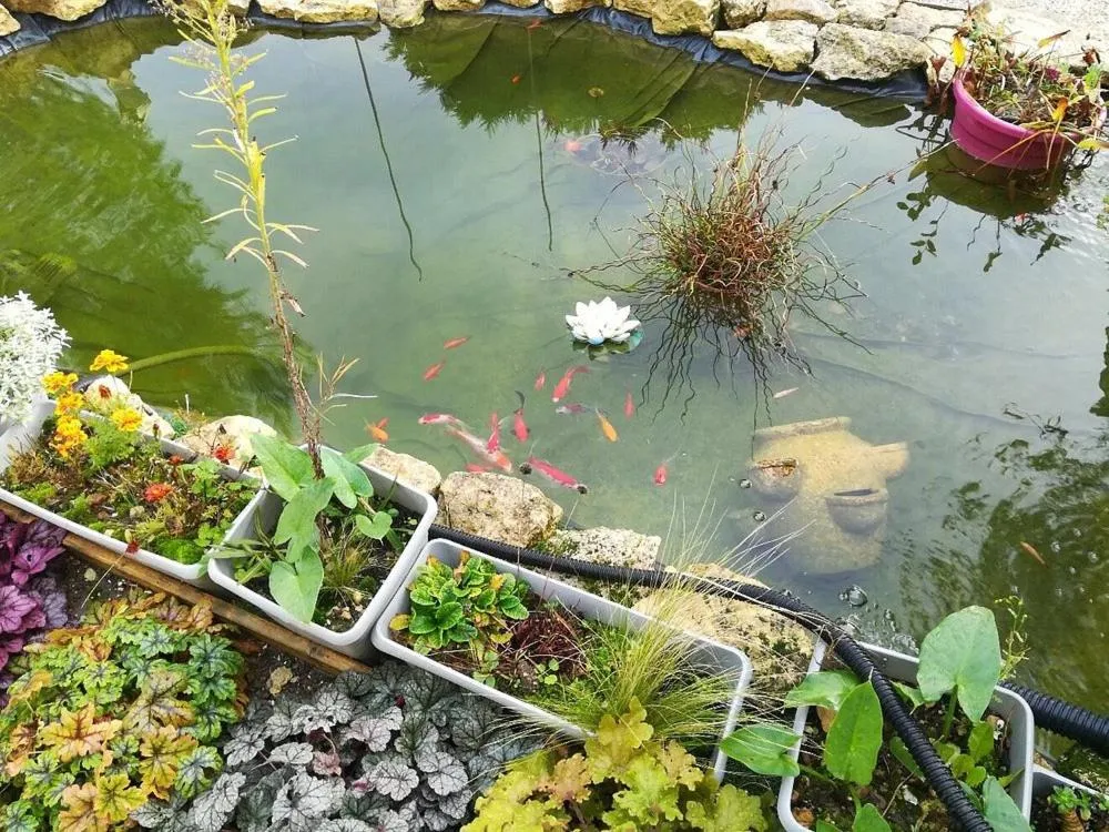 Le Clos des Passiflores