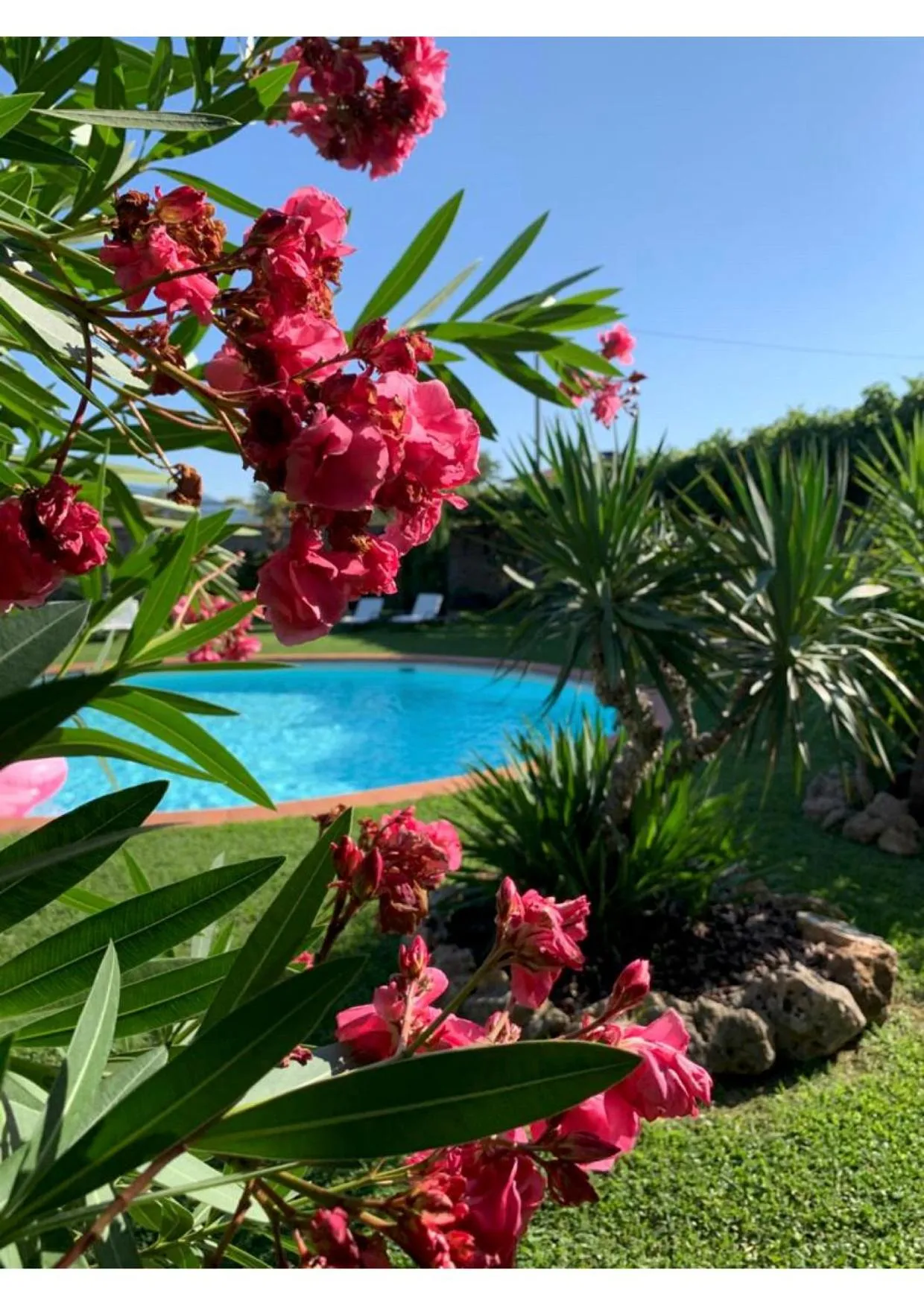 Garden view in Villa La Preziosa