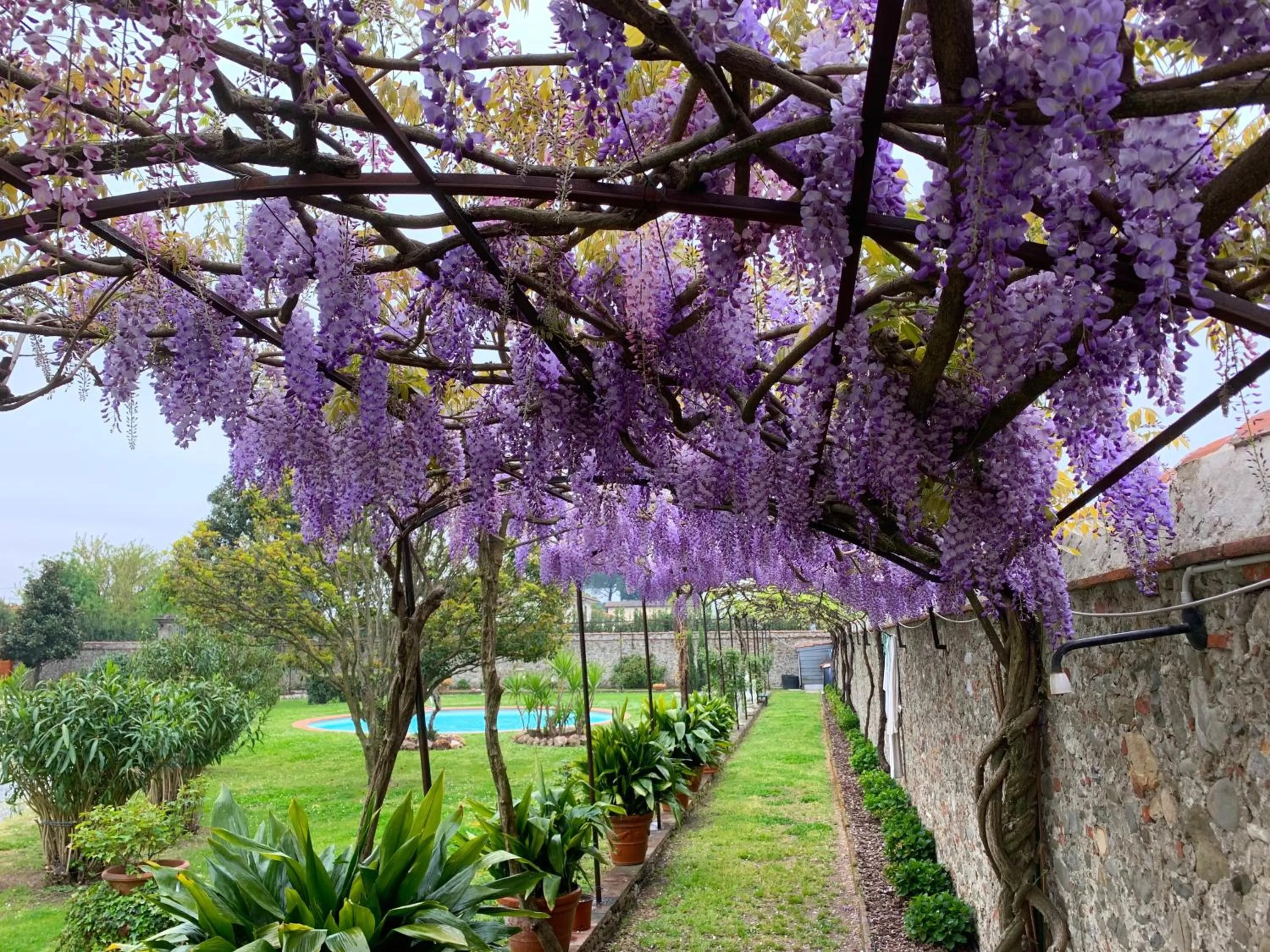 Garden in Villa La Preziosa