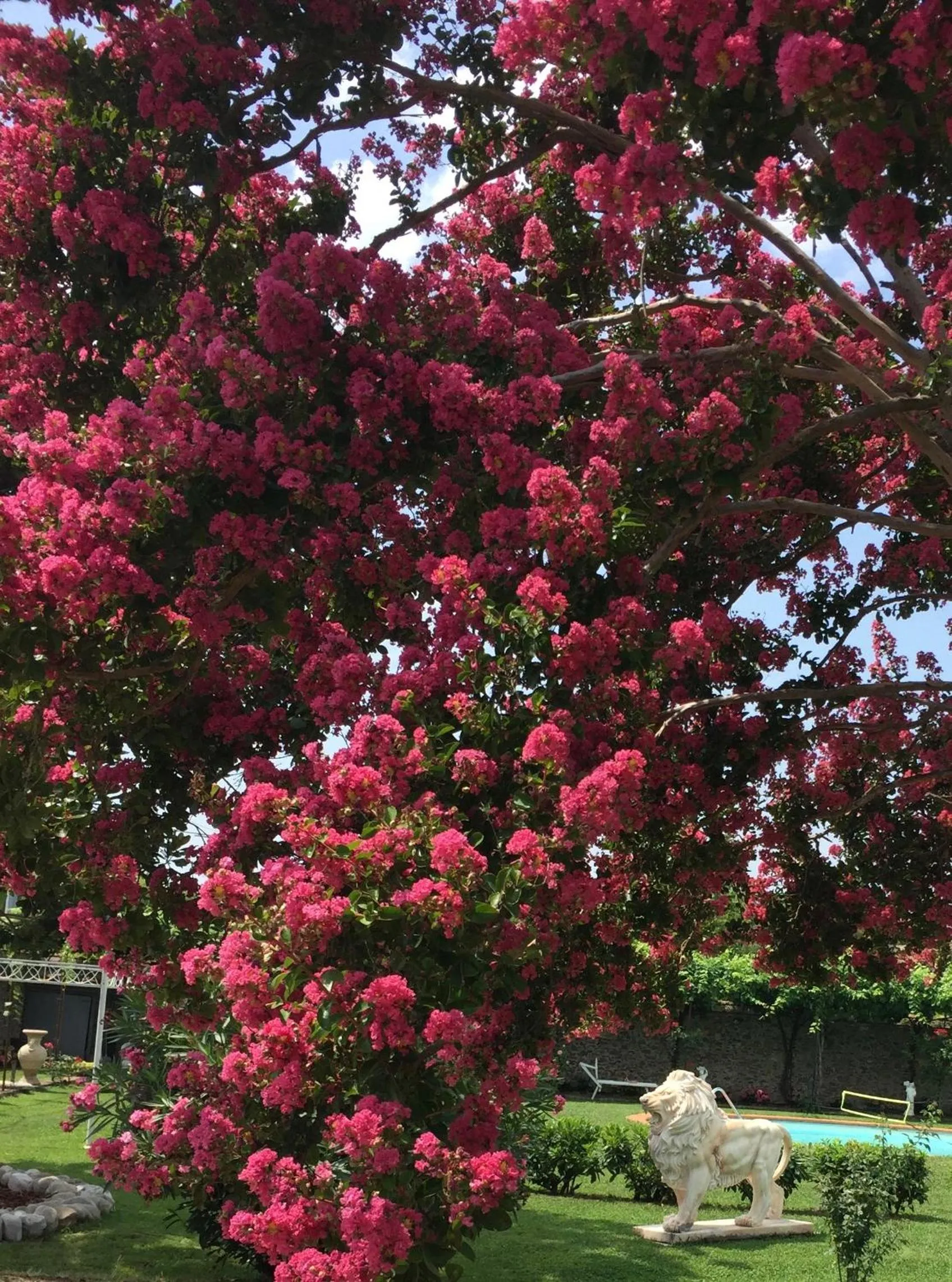 Garden in Villa La Preziosa