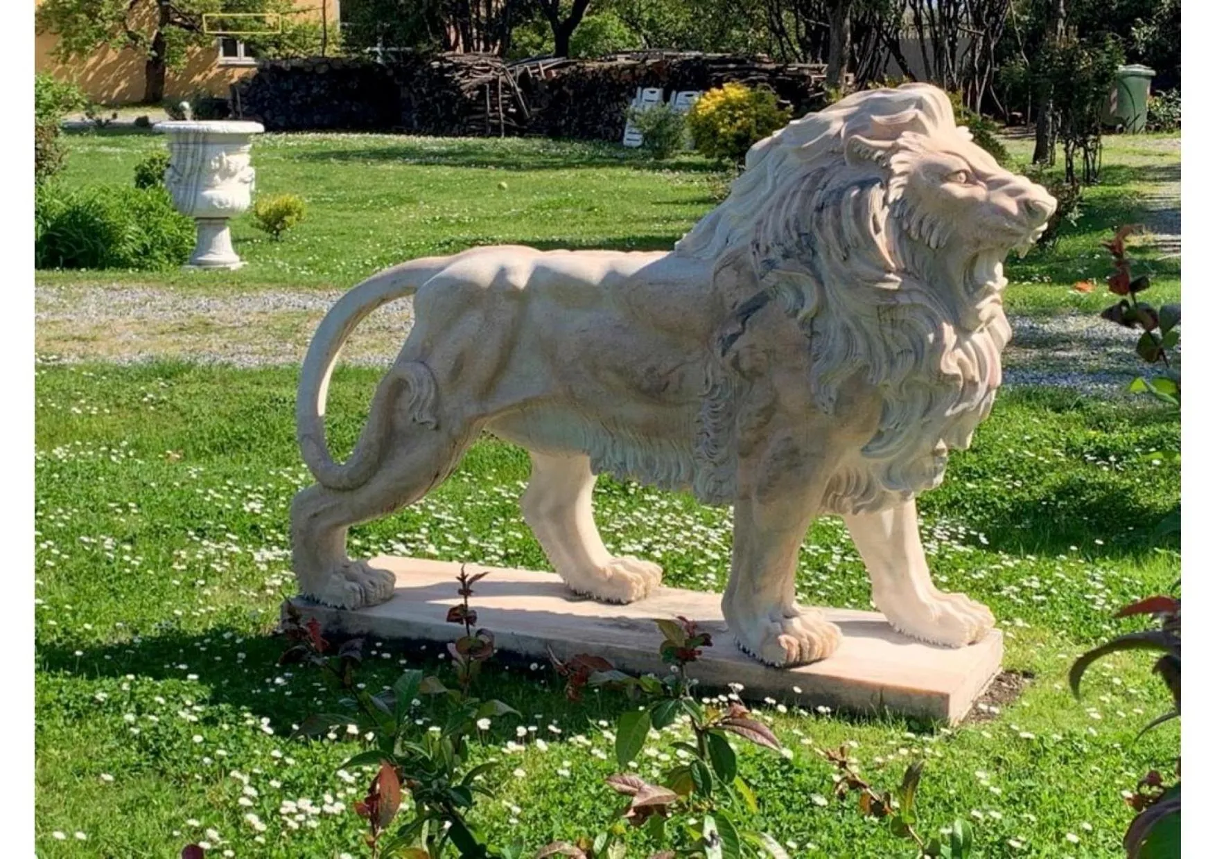 Animals in Villa La Preziosa