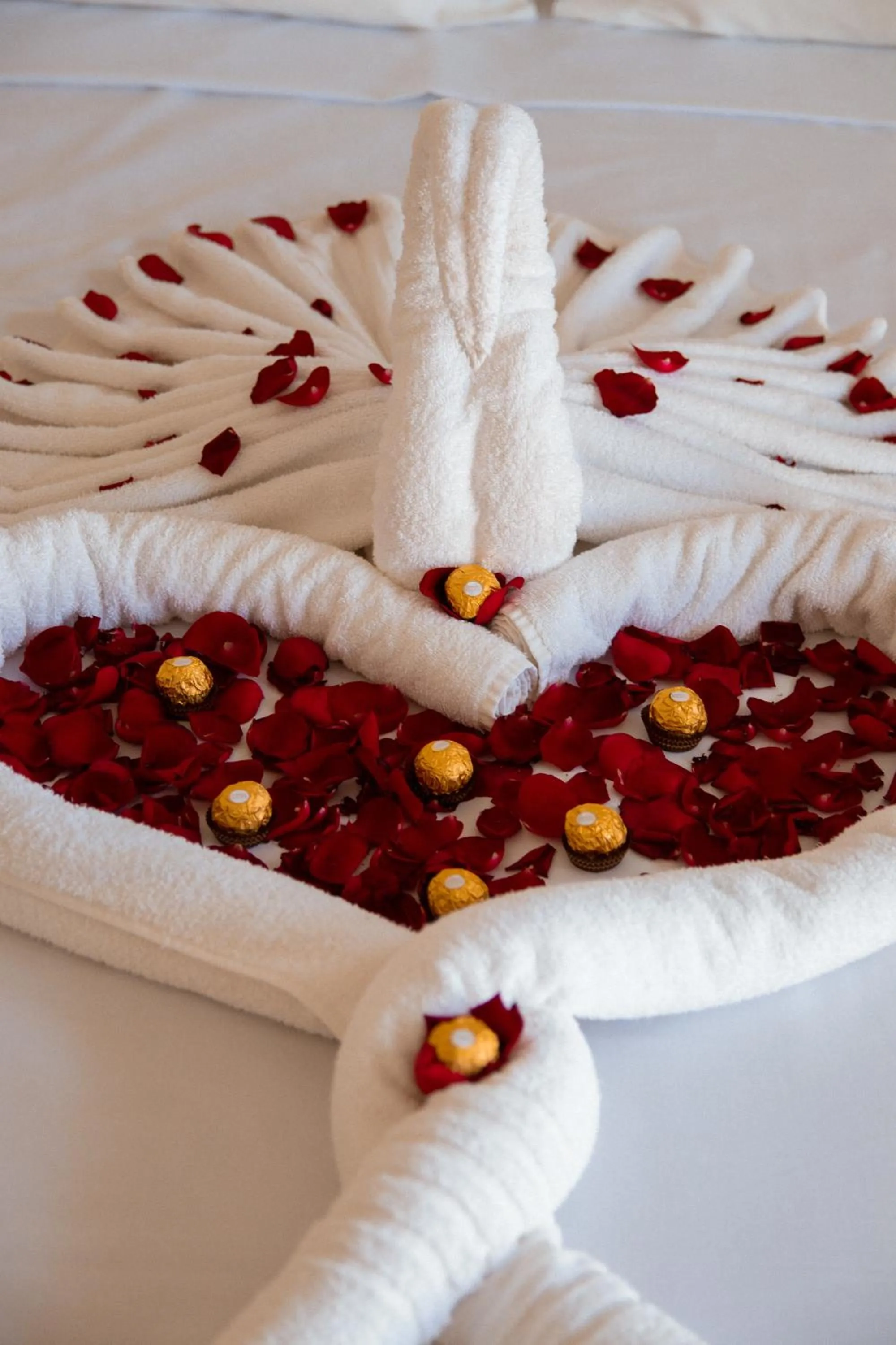 Bed in Hotel Recanto dos Pássaros