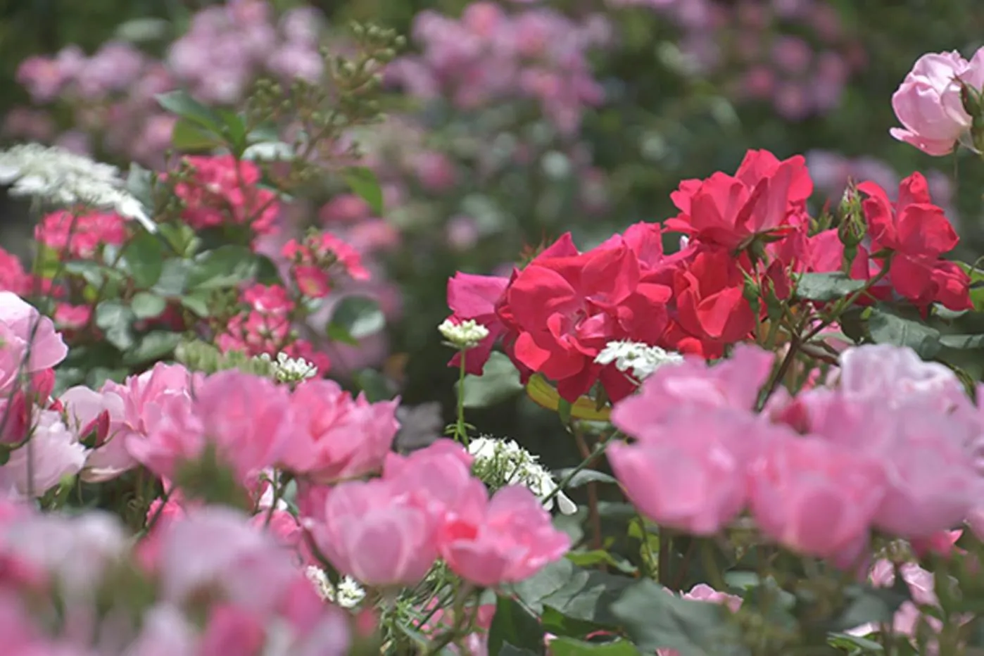 Nearby landmark in Shima Onsen Yoshimoto