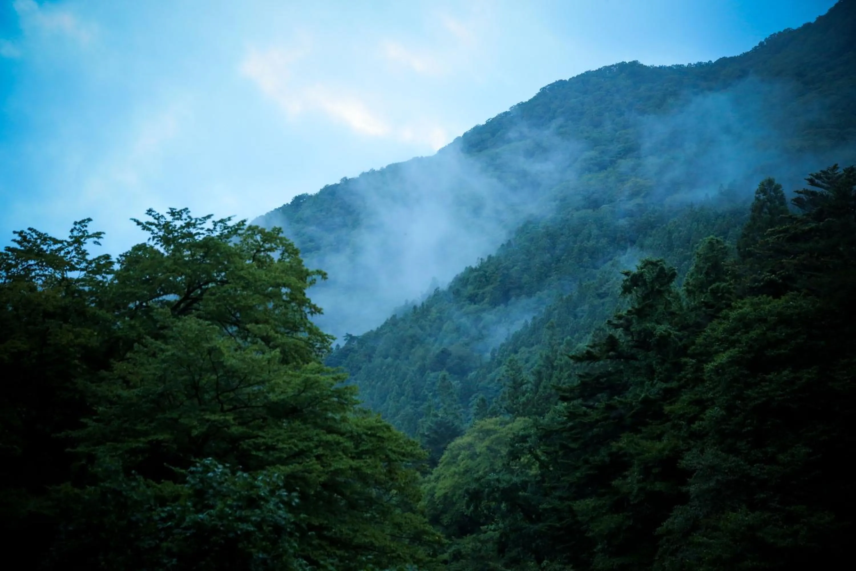 Neighbourhood in Shima Onsen Yoshimoto