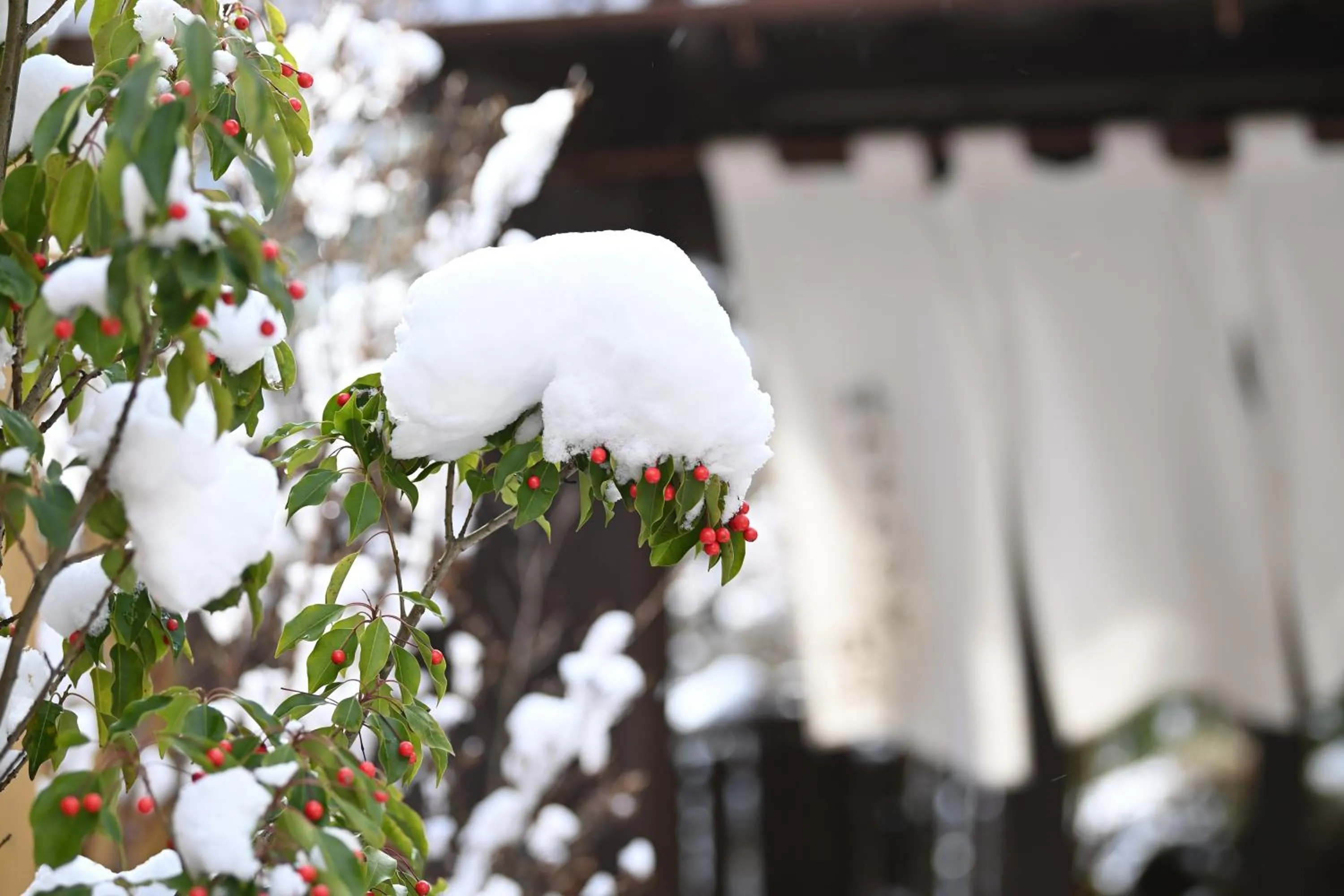 Property building in Shima Onsen Yoshimoto