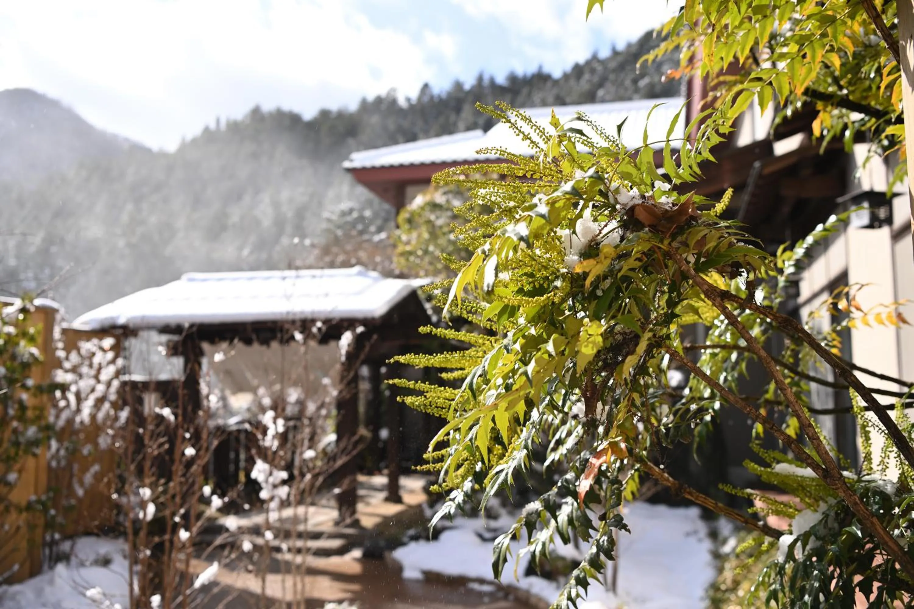 Property building in Shima Onsen Yoshimoto
