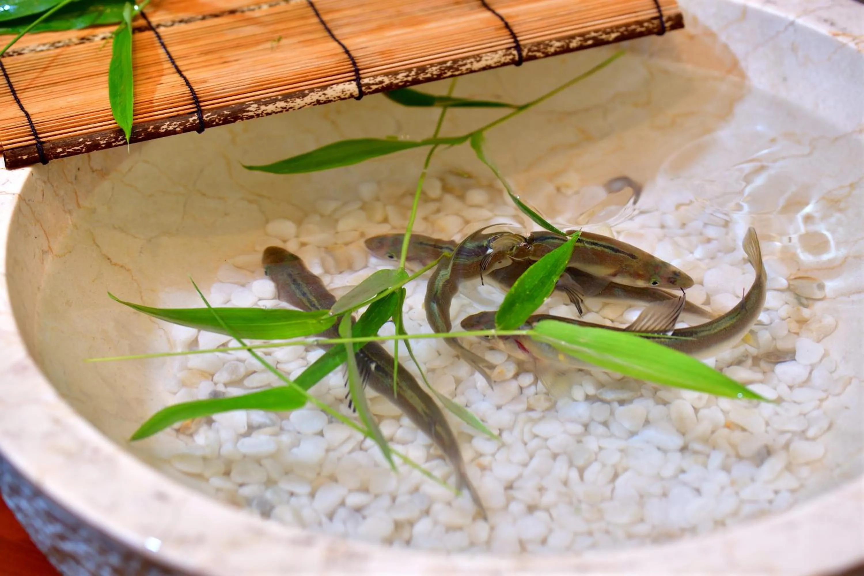 Dinner in Shima Onsen Yoshimoto