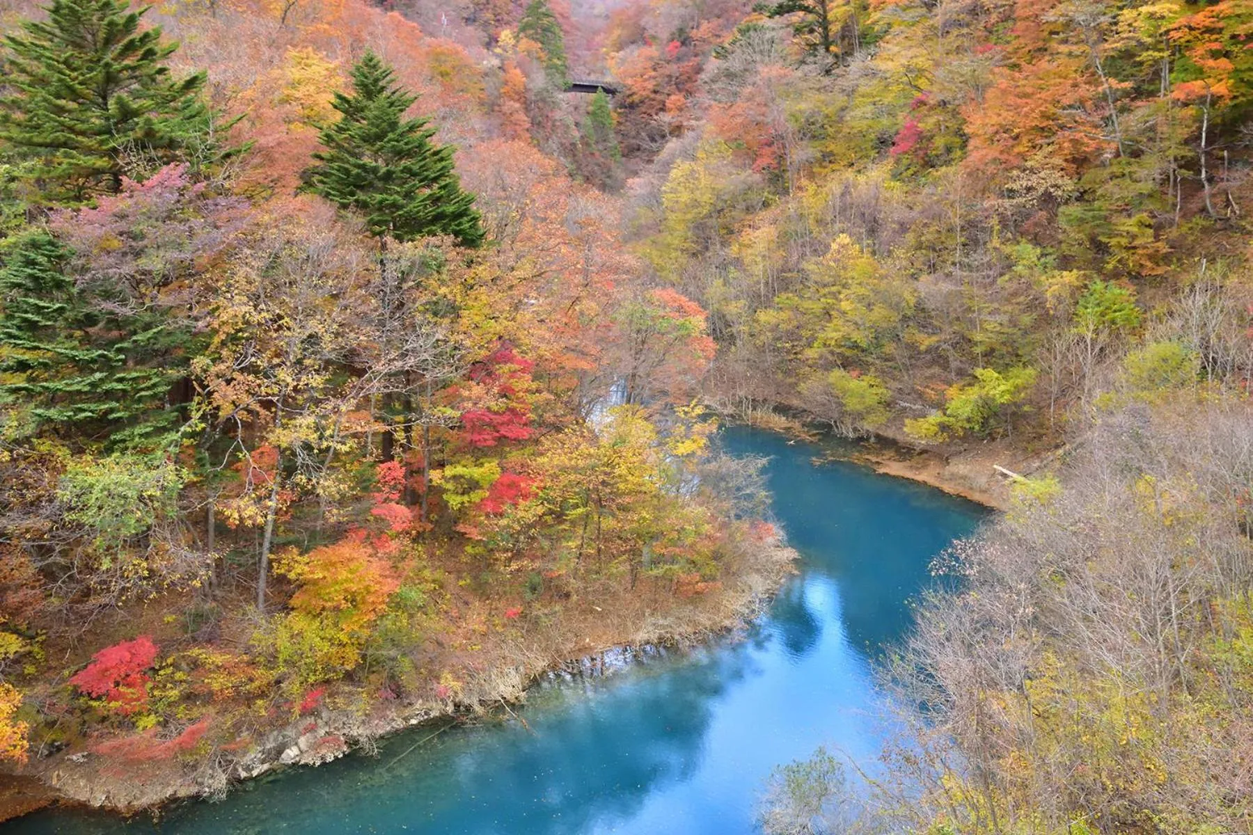 Off site in Shima Onsen Yoshimoto