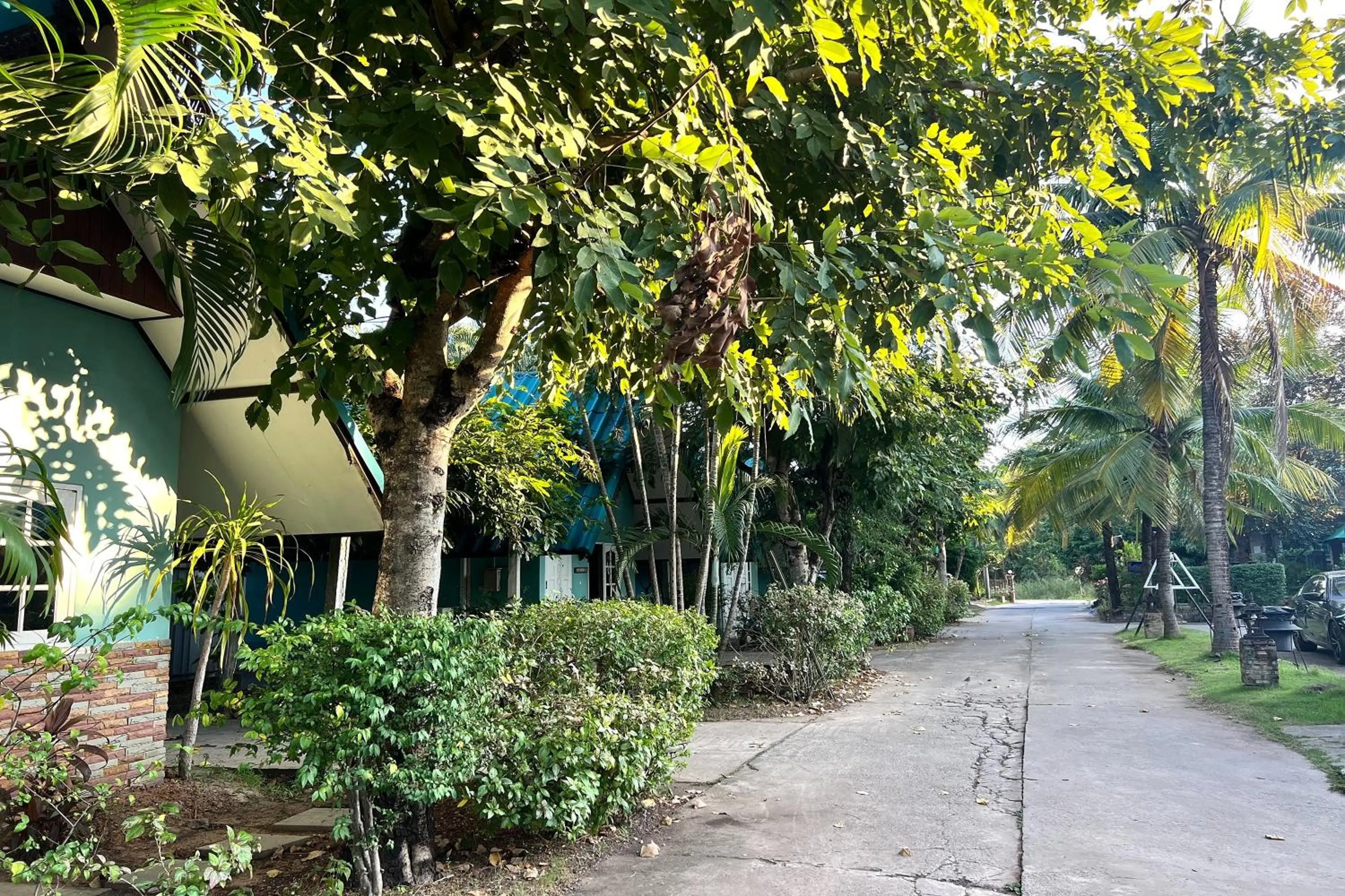 View (from property/room) in Saithong Resort