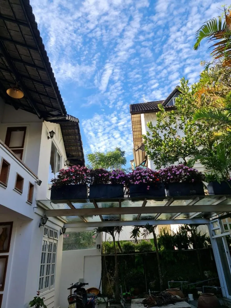Garden view in VILLA KIM GIA ĐÀ LẠT