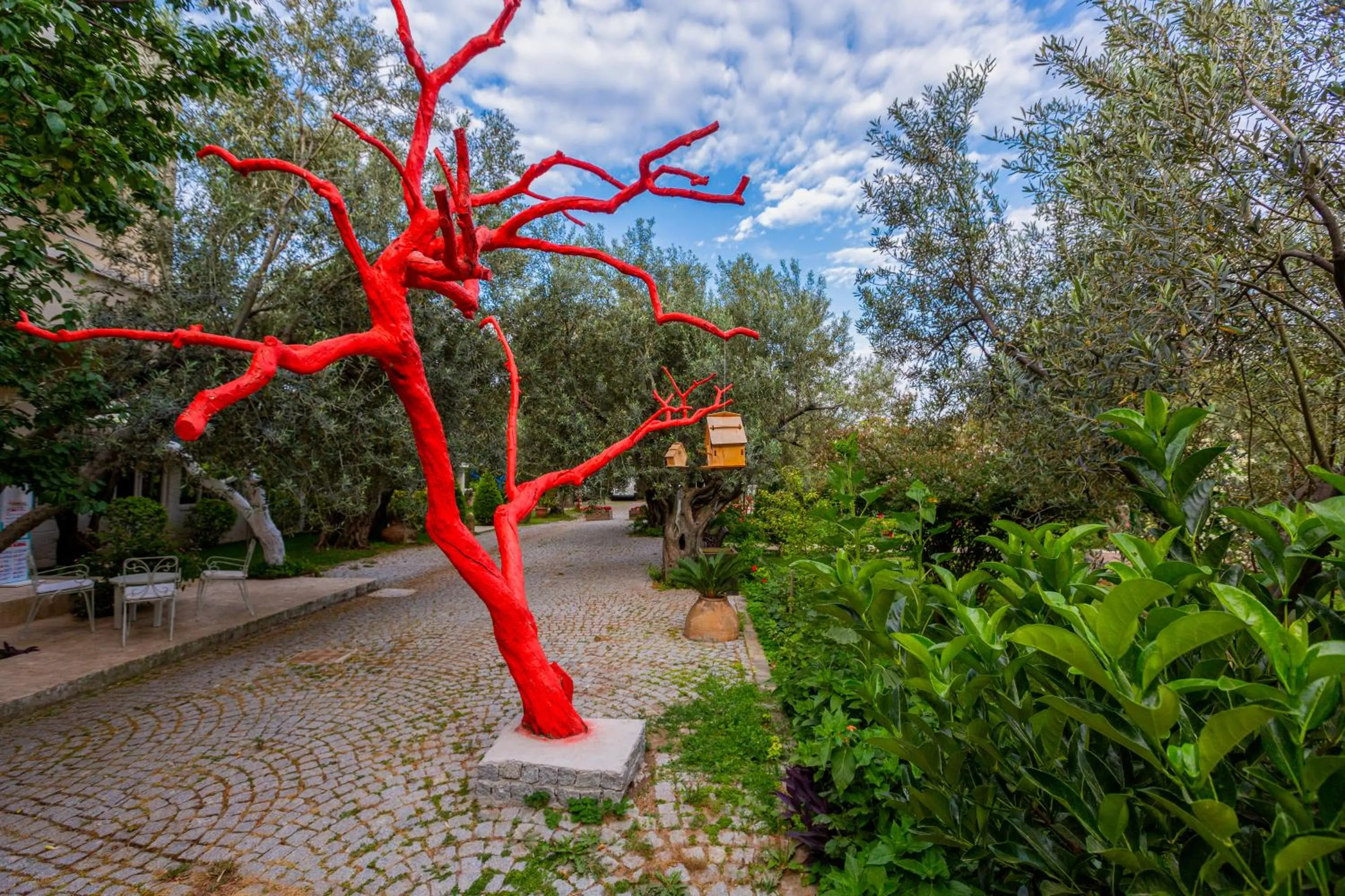 Garden in Gurel Garden House