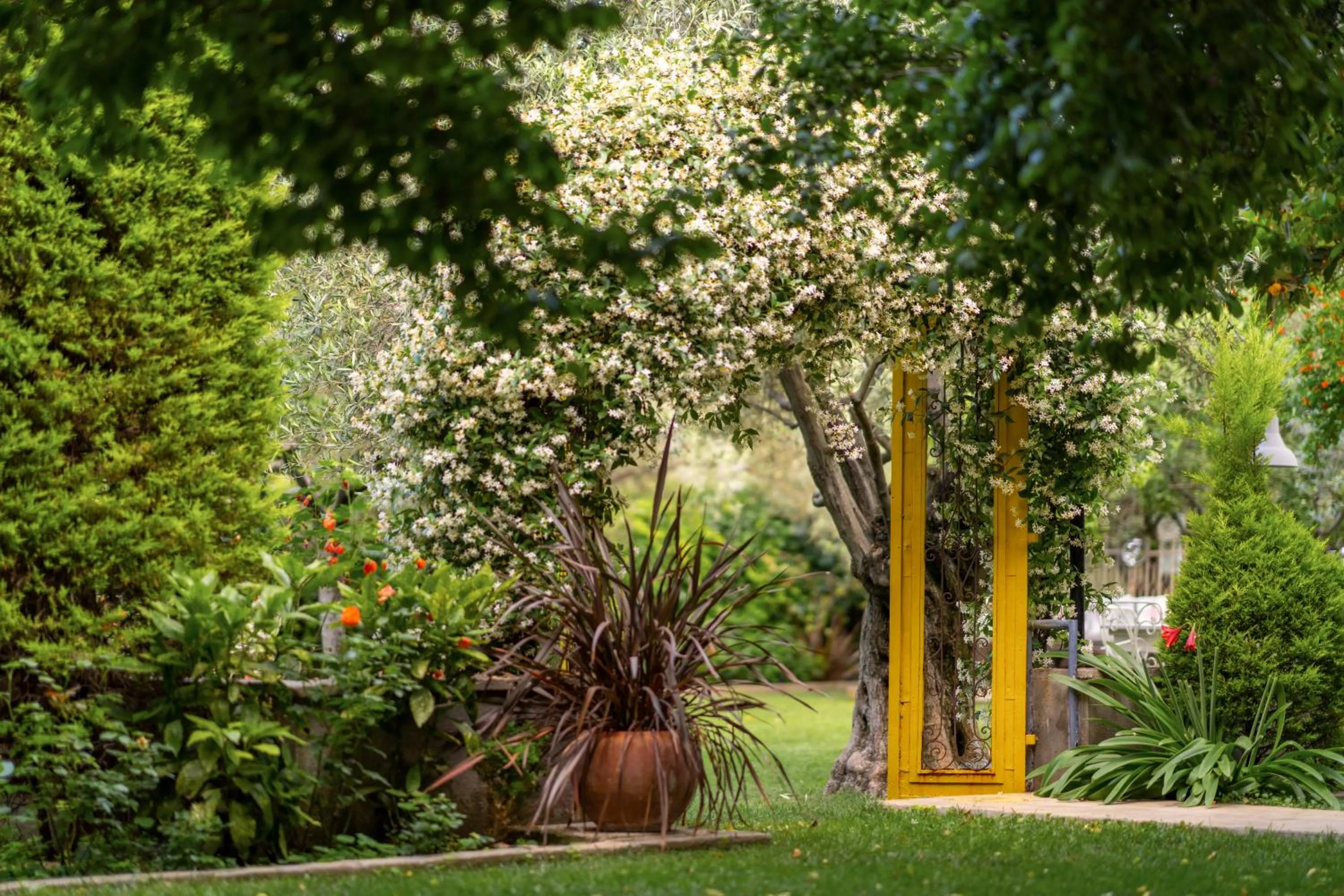 Garden in Gurel Garden House