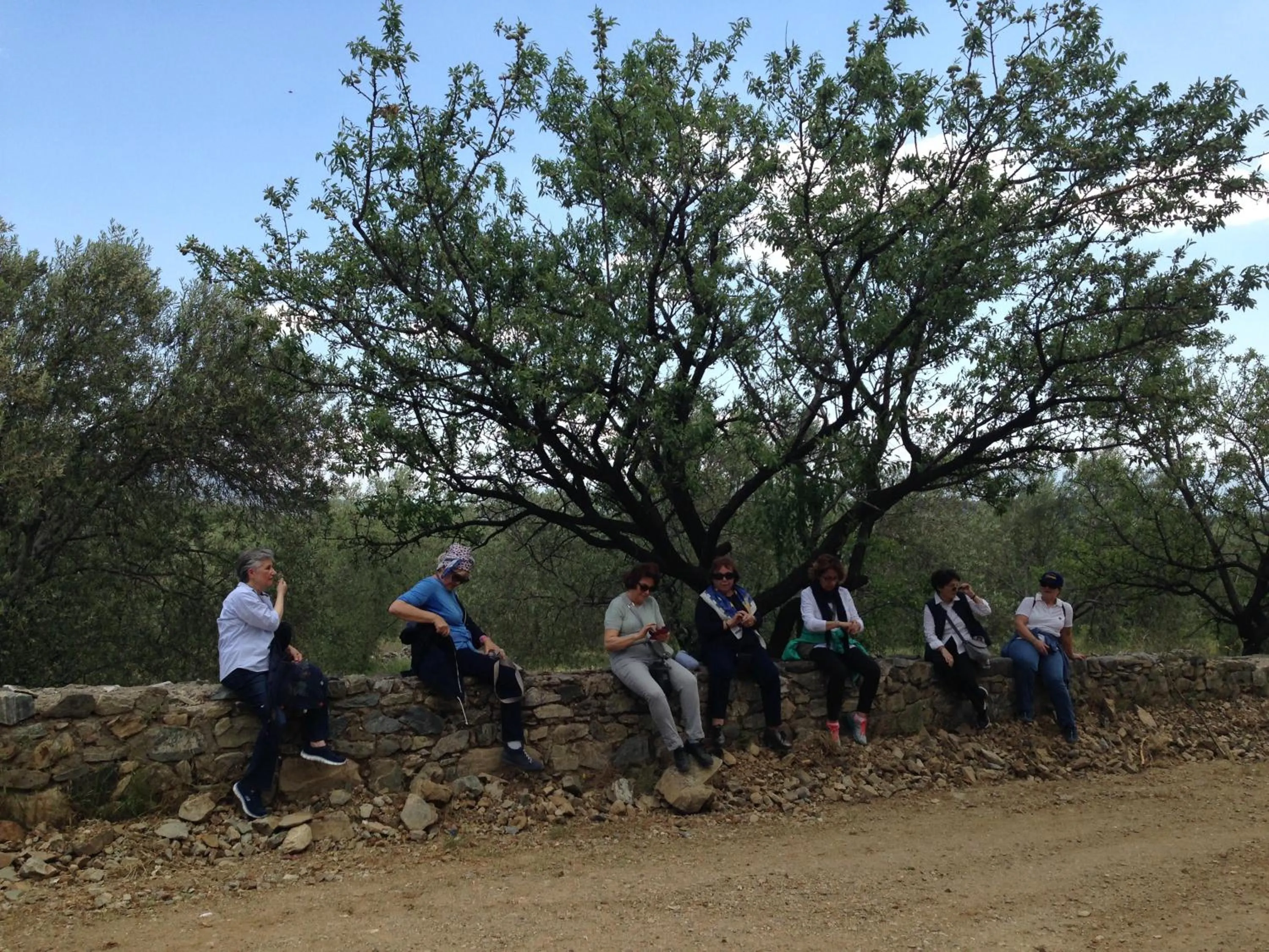 Off site in Kazdaglari Ida Natura Bungalov Hotel