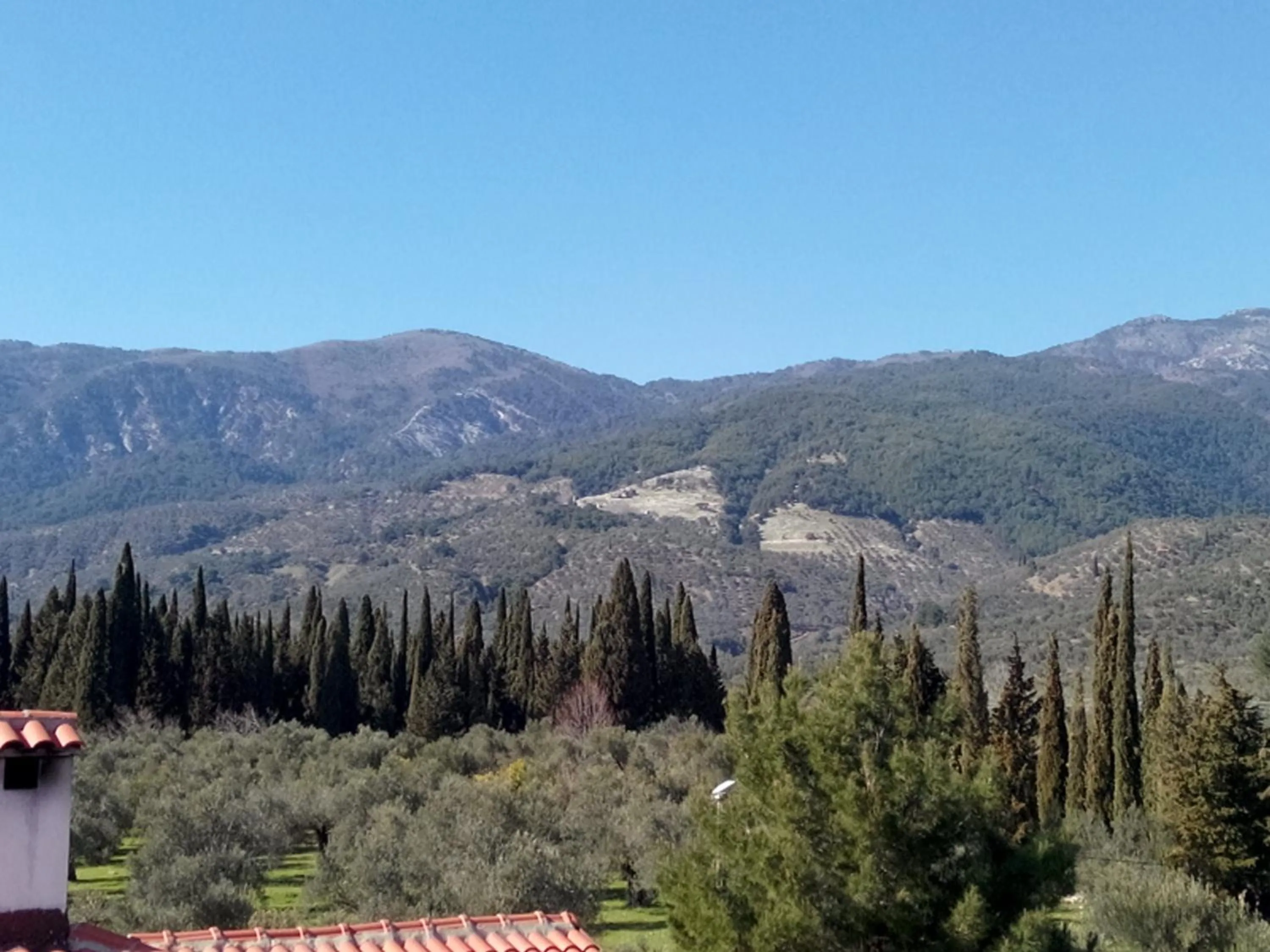 Natural landscape in Kazdaglari Ida Natura Bungalov Hotel