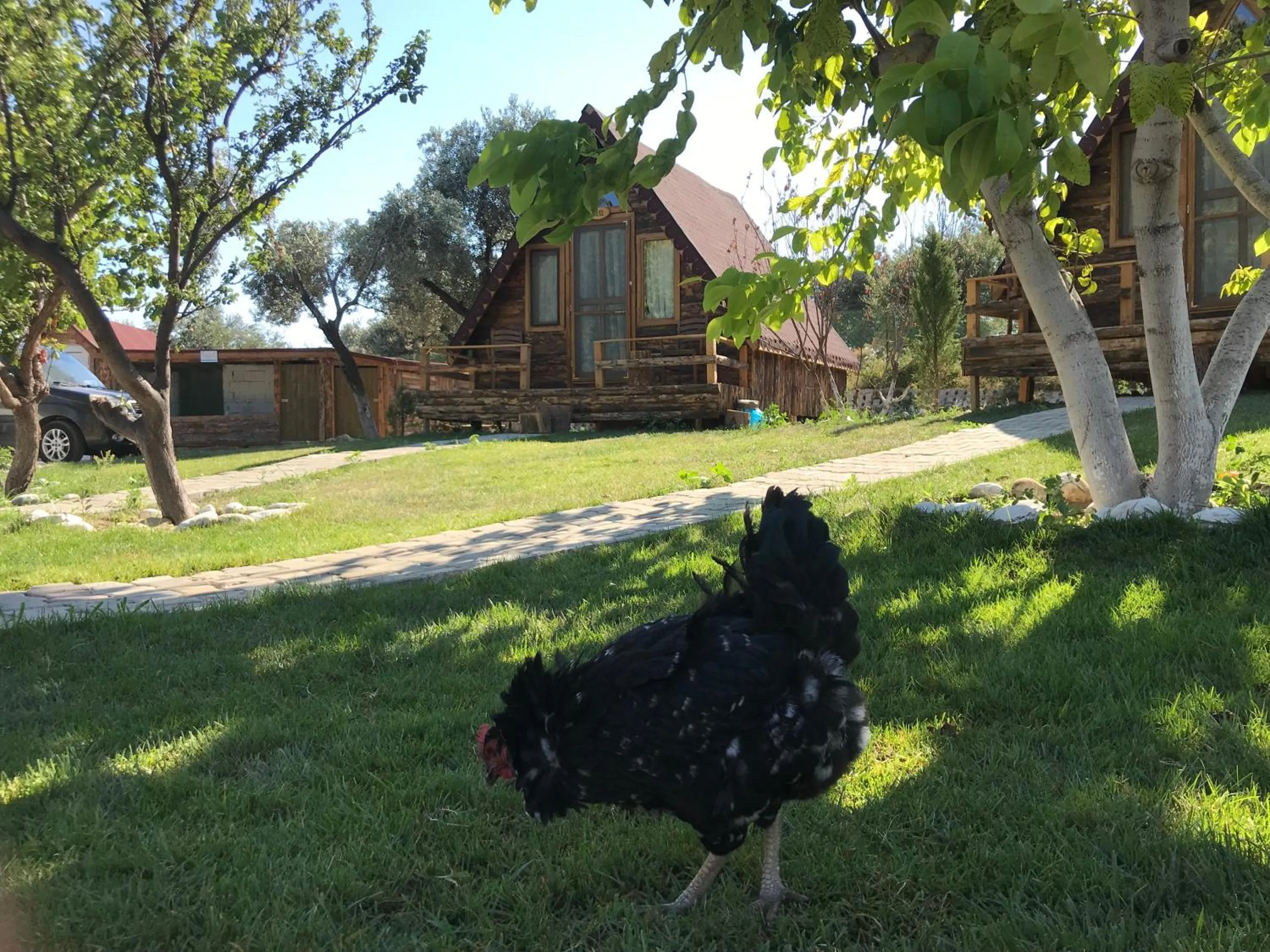 Property building in Kazdaglari Ida Natura Bungalov Hotel