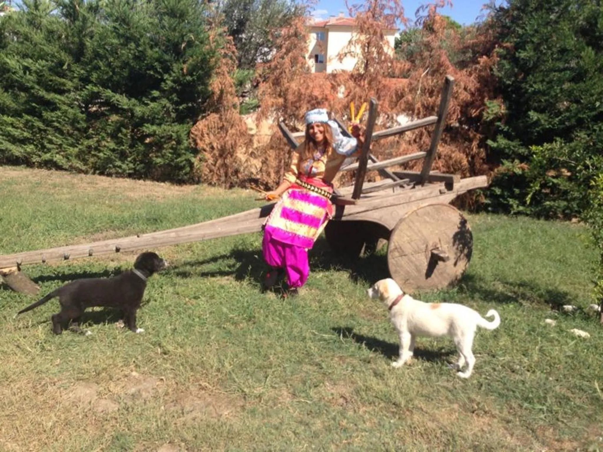 Garden in Kazdaglari Ida Natura Bungalov Hotel