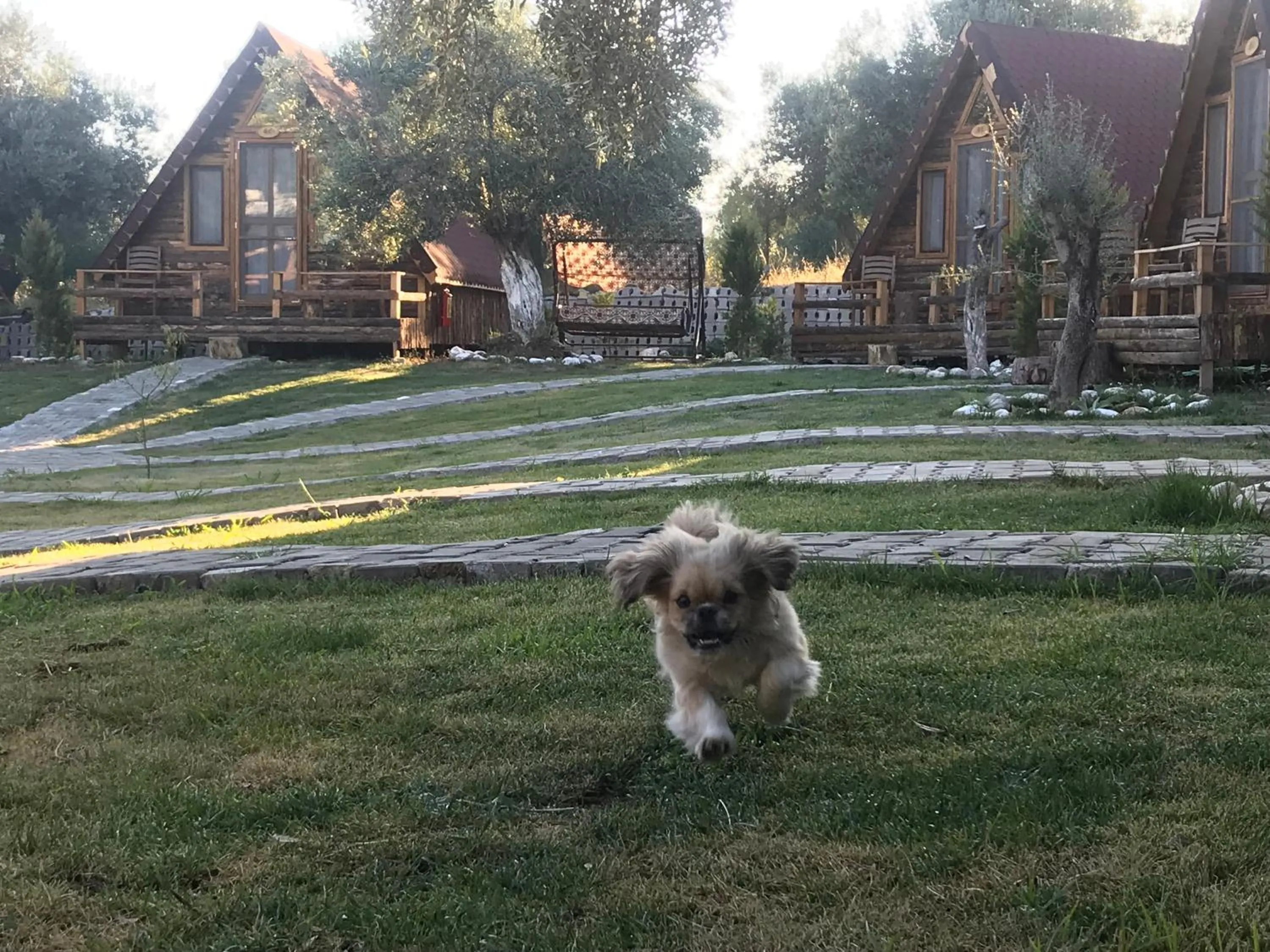 Garden in Kazdaglari Ida Natura Bungalov Hotel