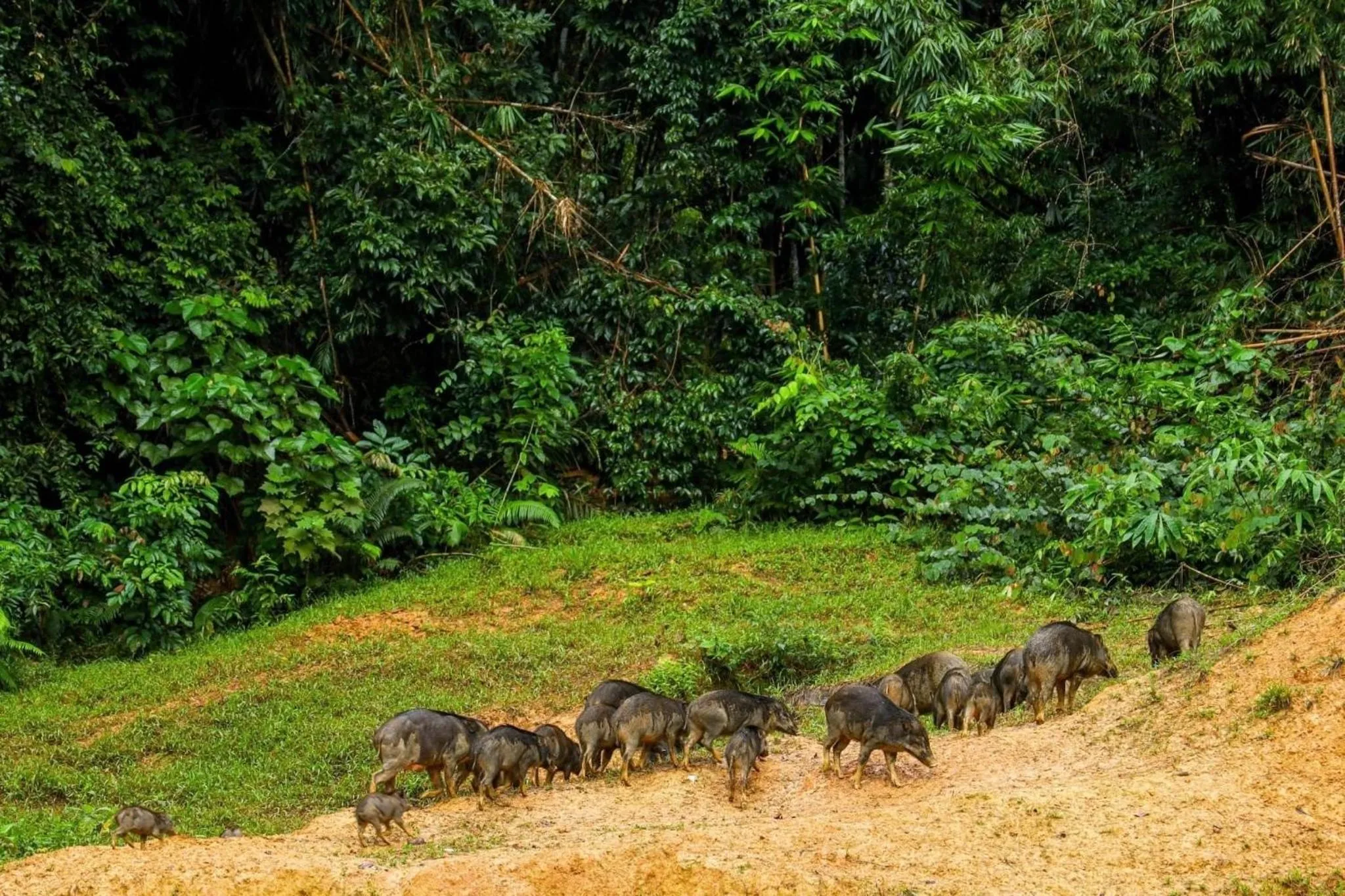 Day in 500 Rai Floating Resort