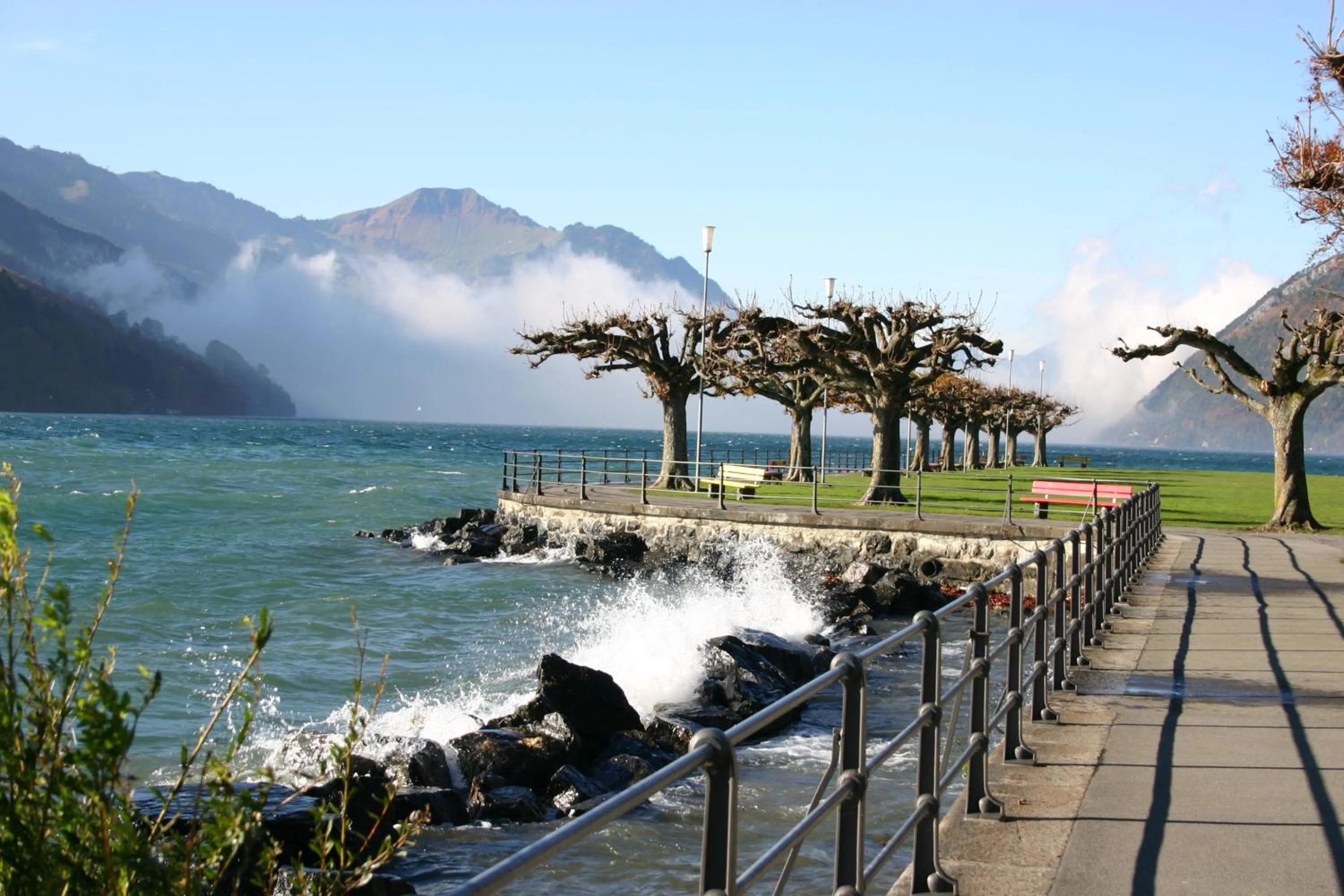 Area and facilities in Seehotel Waldstätterhof Swiss Quality